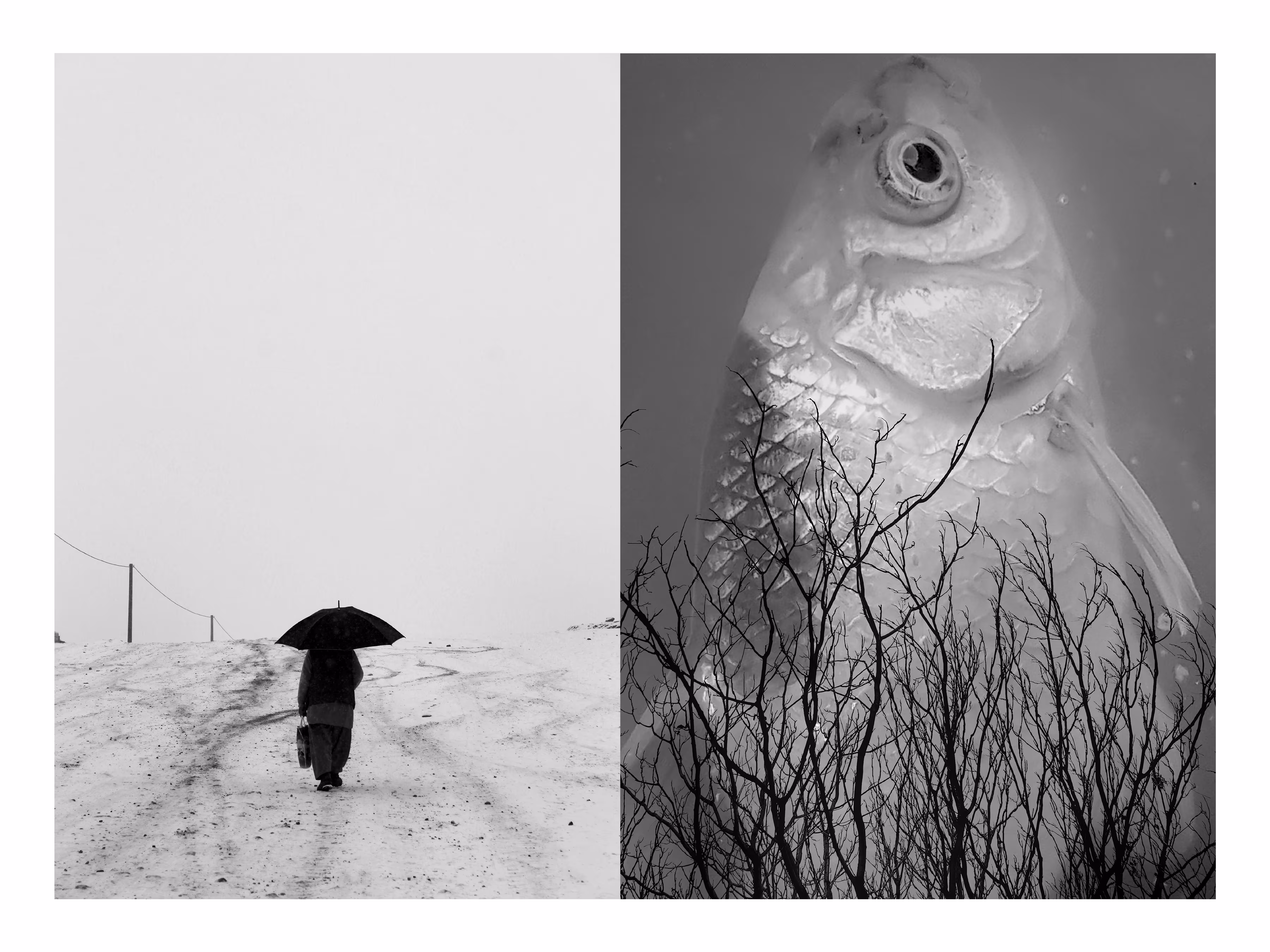 Meaningless 2 (Art Photography)