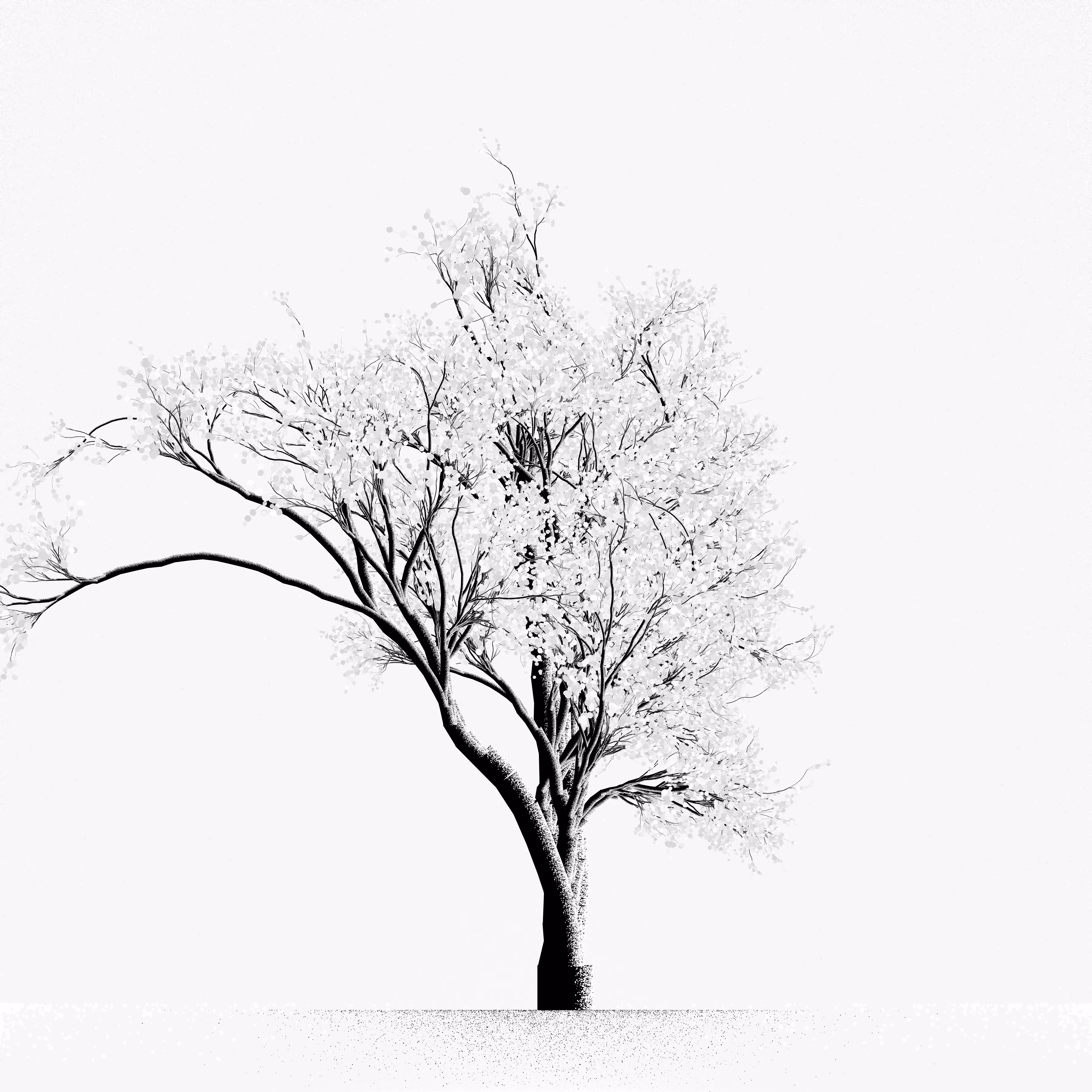 Snow Tree #35
