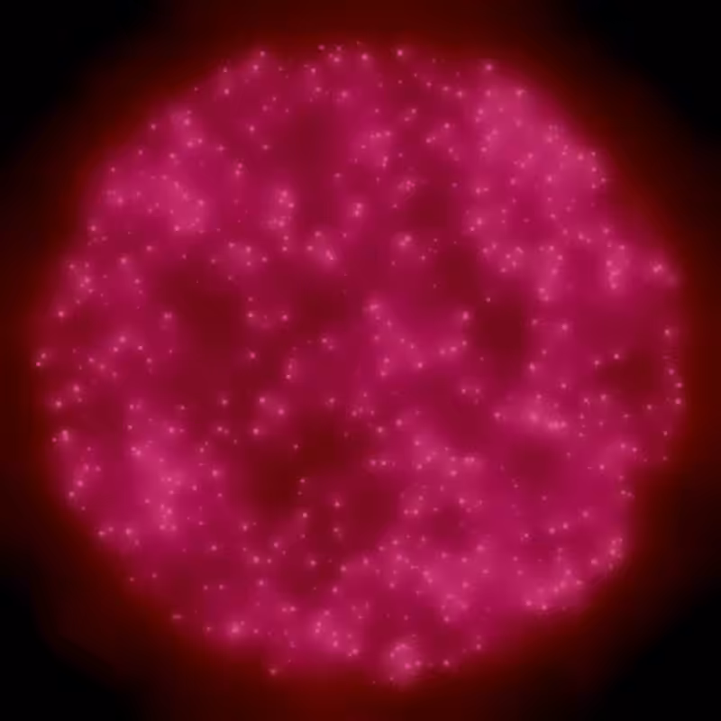 Petri Dish #34