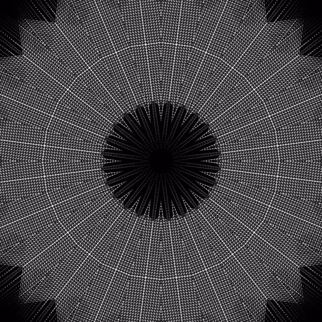 orbital warp 02