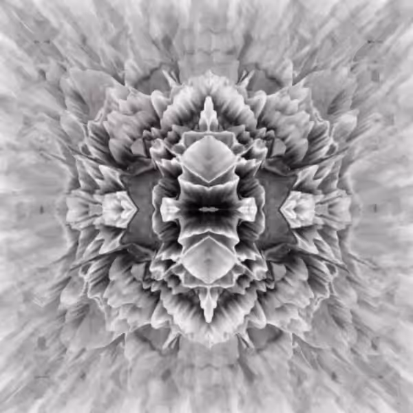 Symmetry II