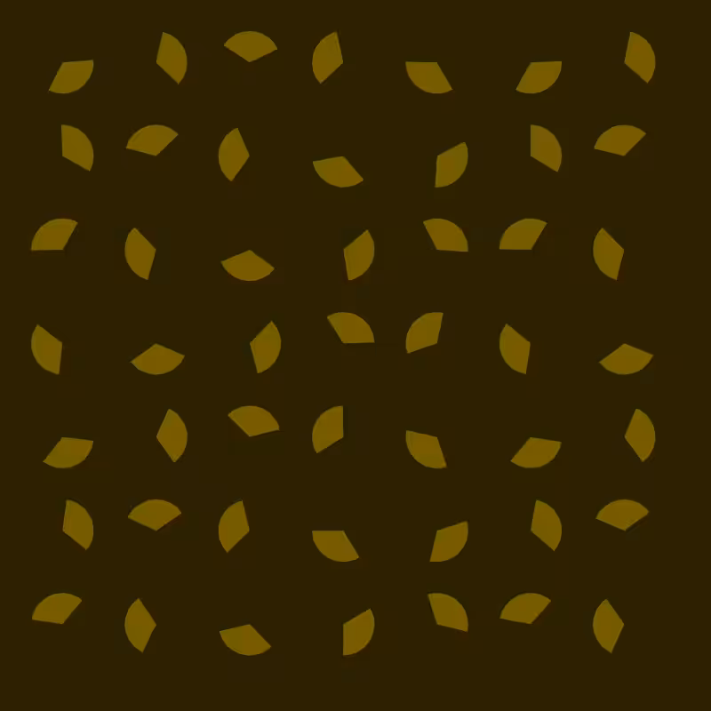 Sacilotto Hash #19