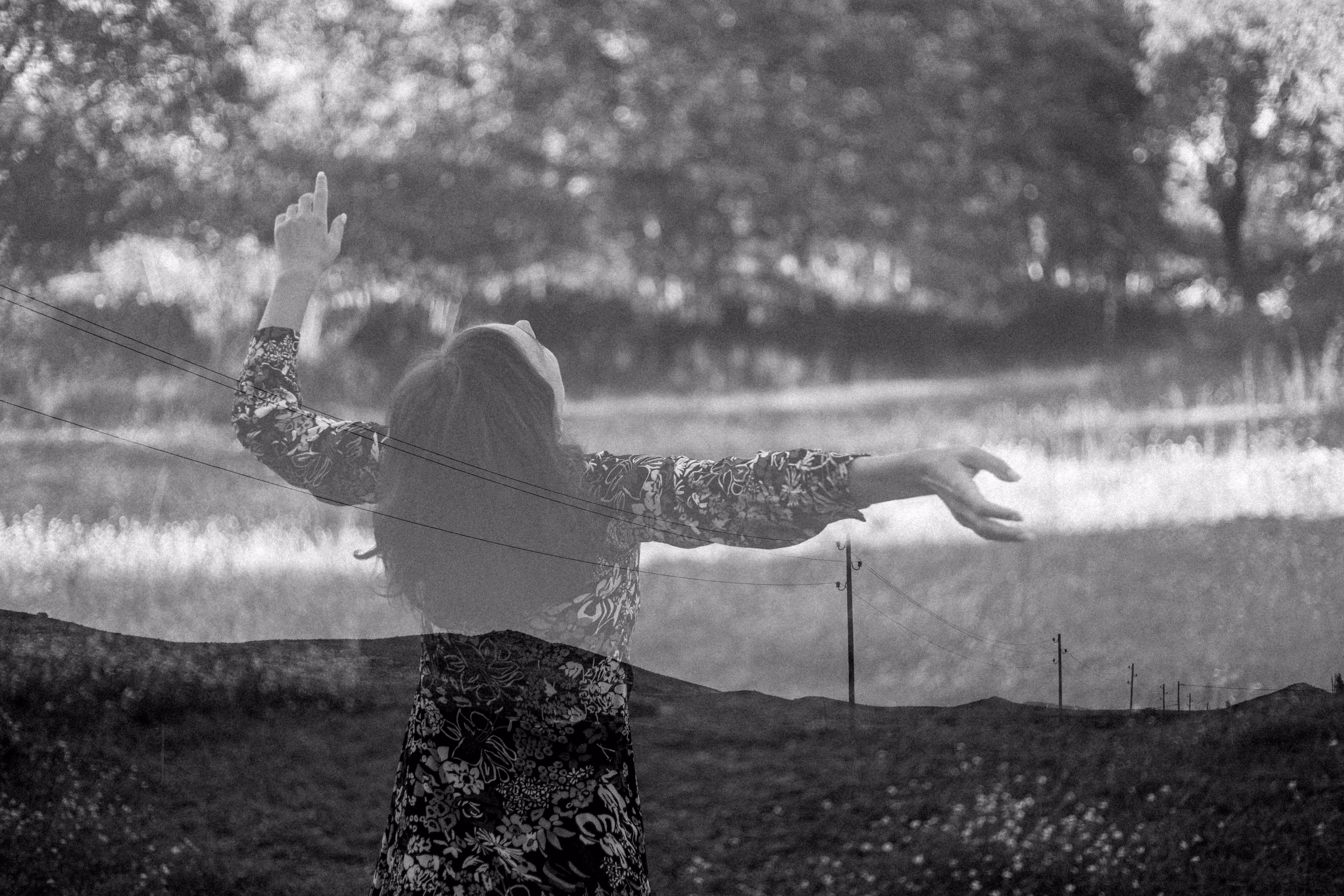 the wind is playing the song of freedom