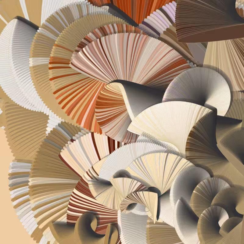 Seashells #110