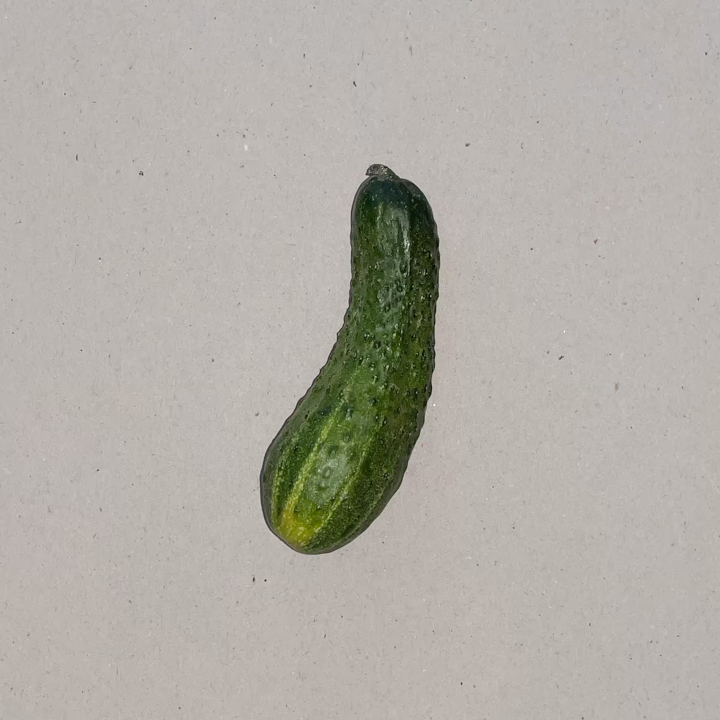 Anonymous Vegetables - Cucumber