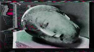 🅷Ⓔ🅳
