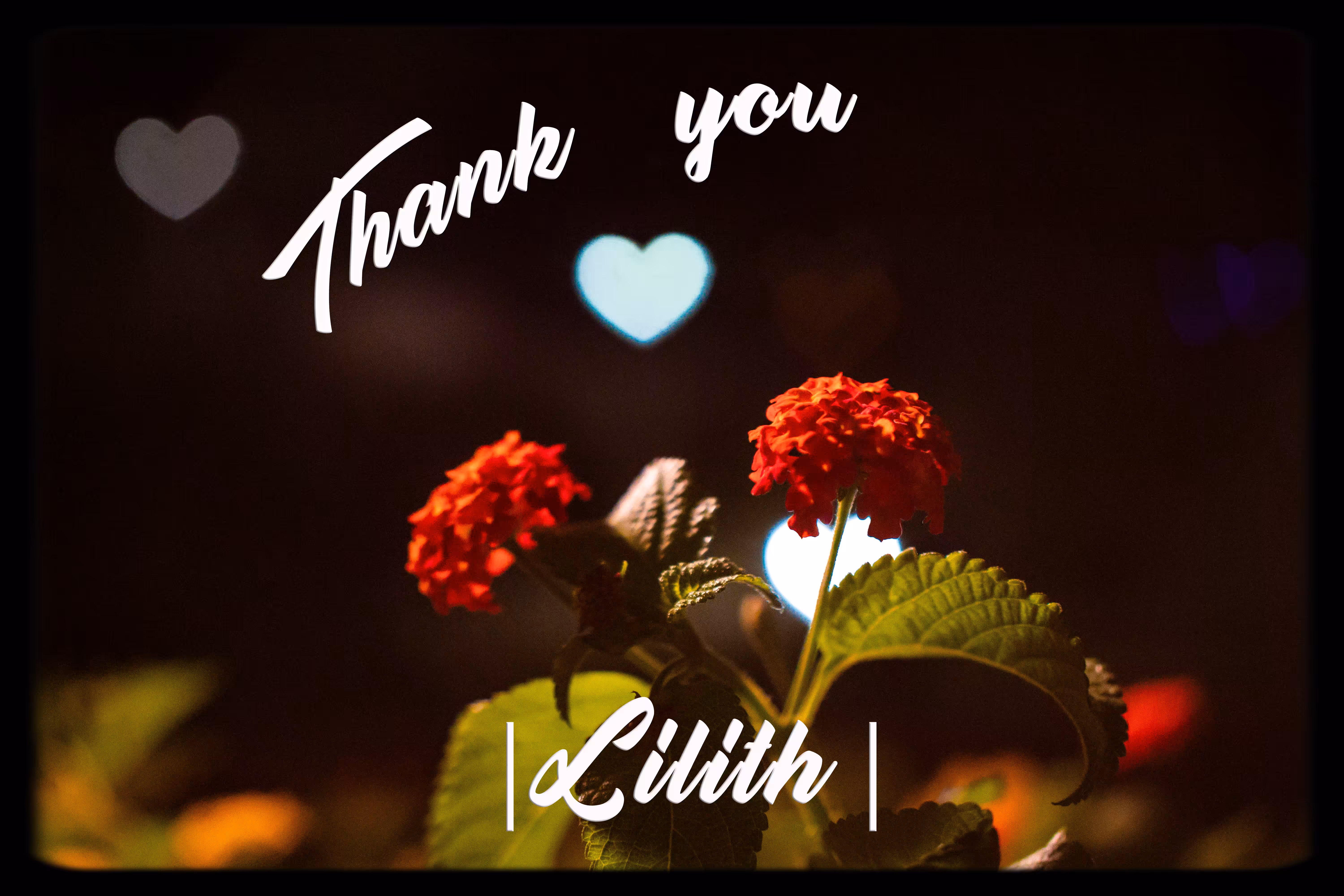 Thank You | LILITH |