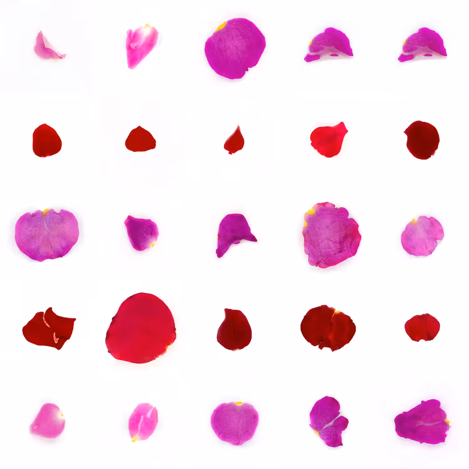 Infinite Petals 5x5#20829