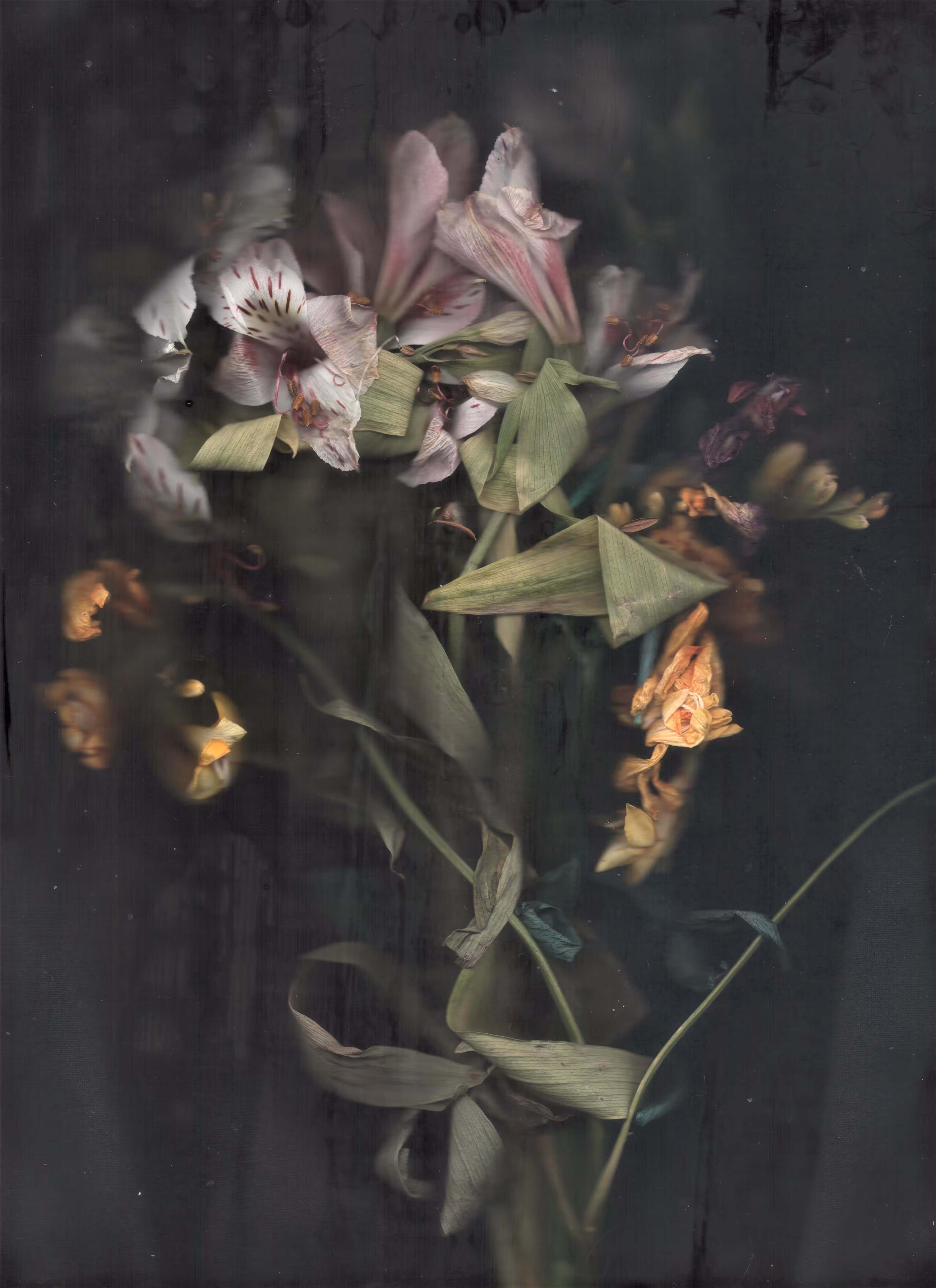 Melancholy of beauty