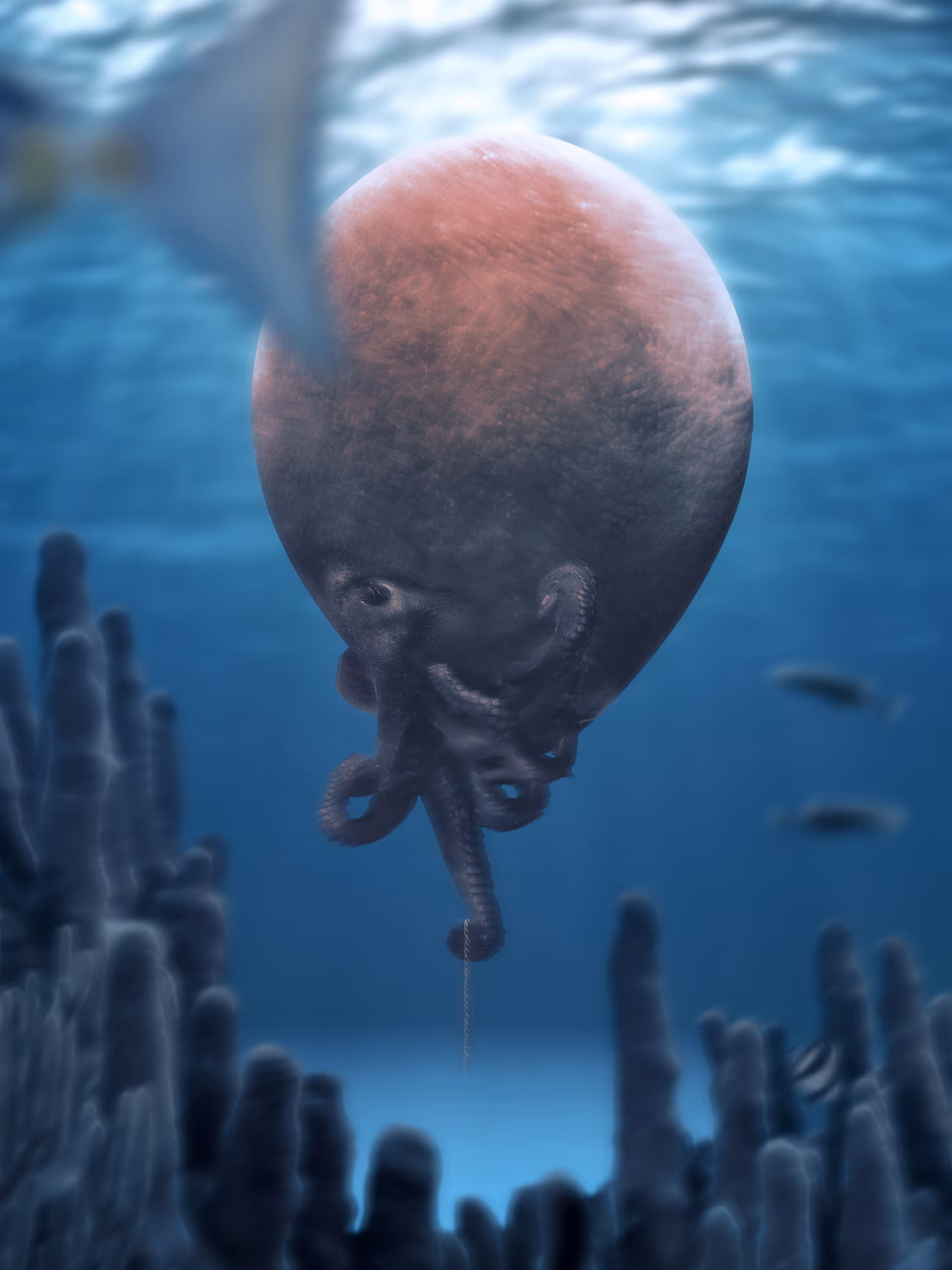 Octalloon