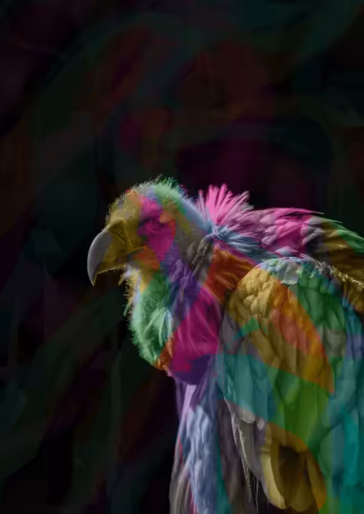 The Bird