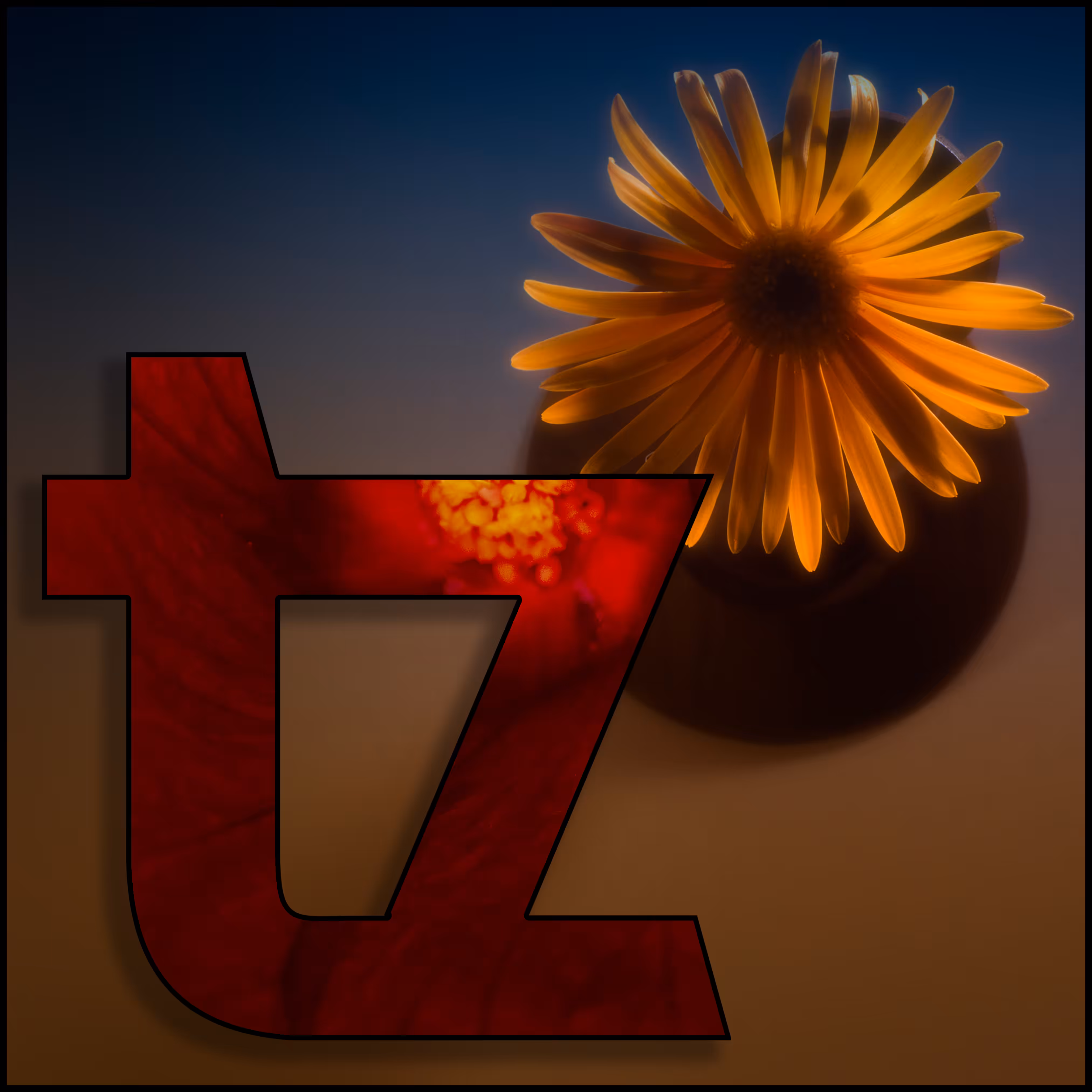 tz