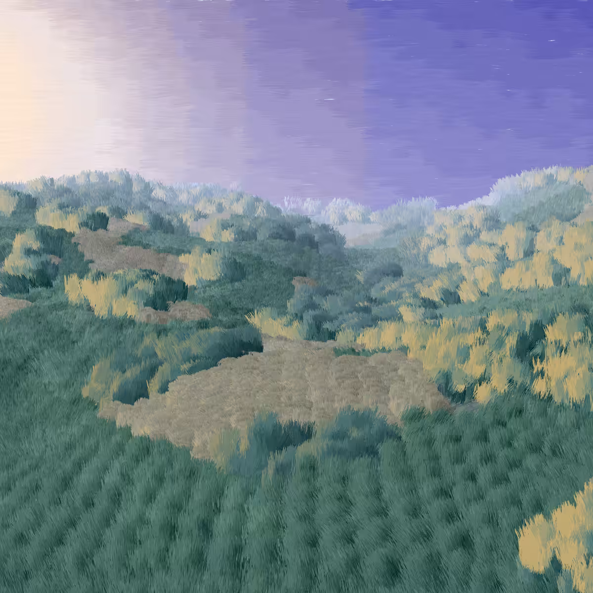 Provence #470