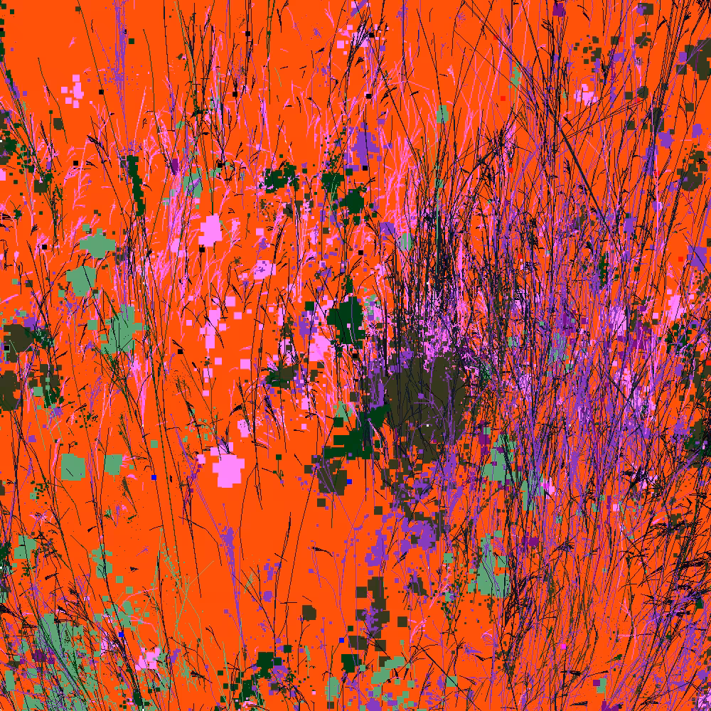 Infinite Garden: 30563 Flowers
