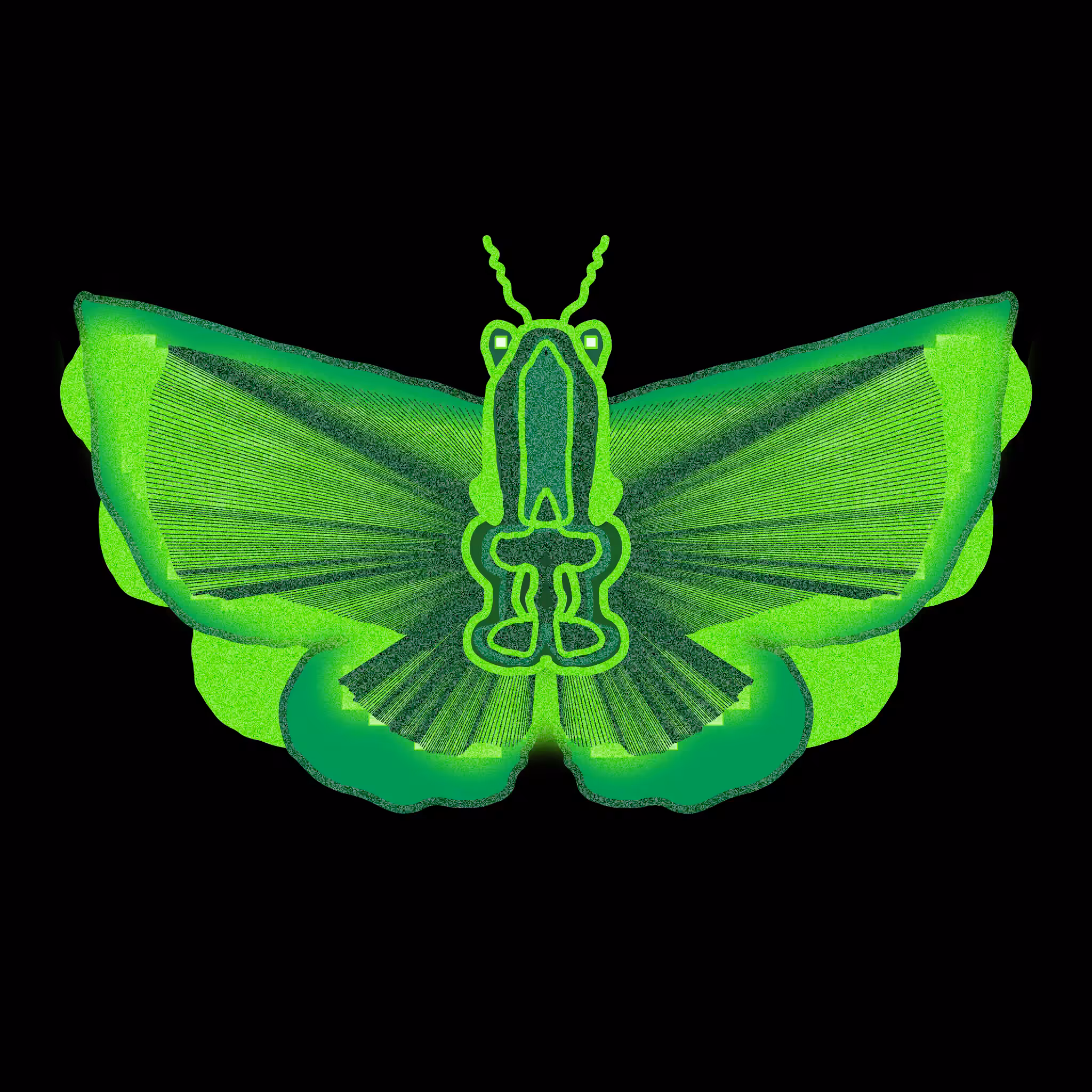 Tezerfly#082
