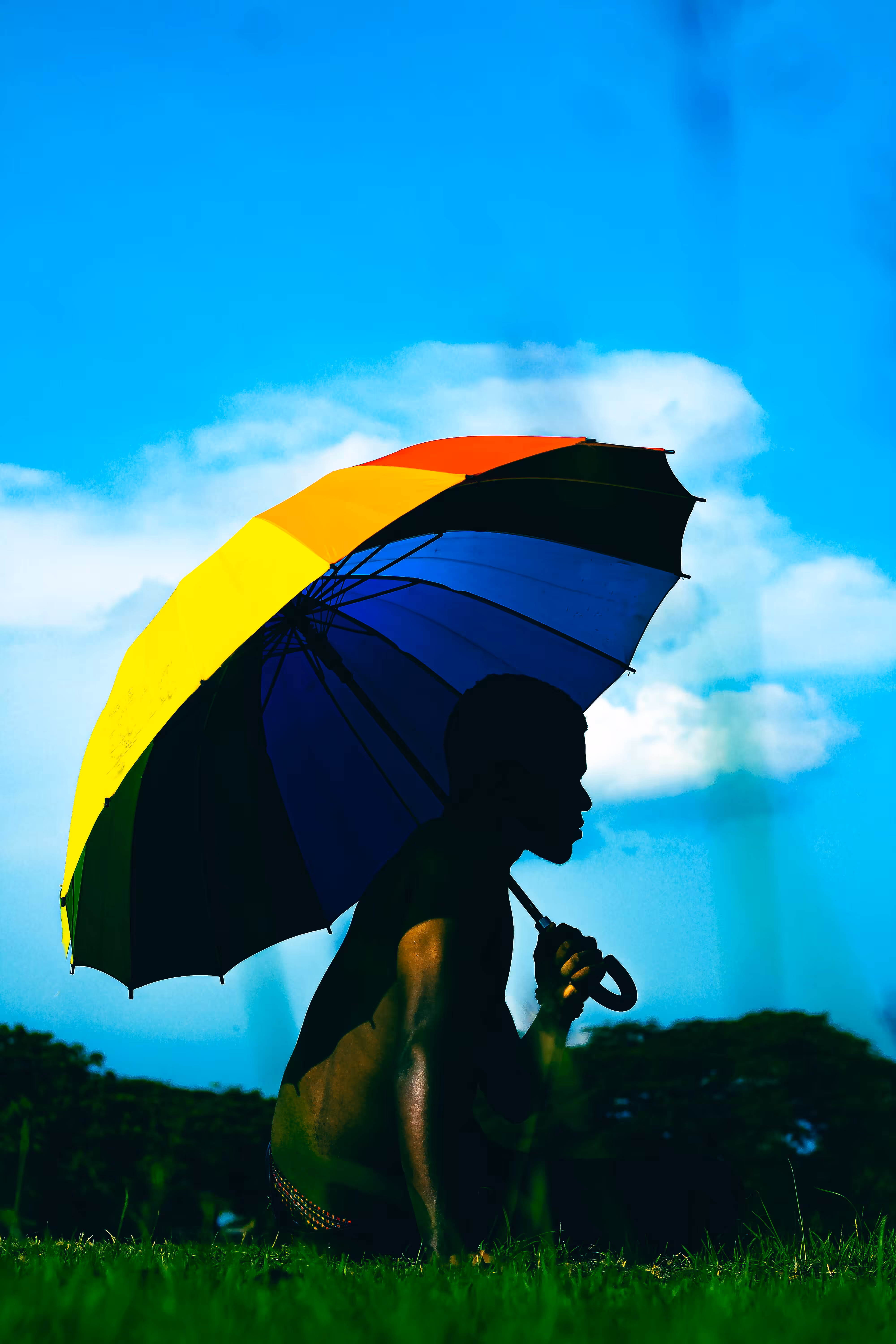 Storytelling Collection: “Shade Is Also Strength”