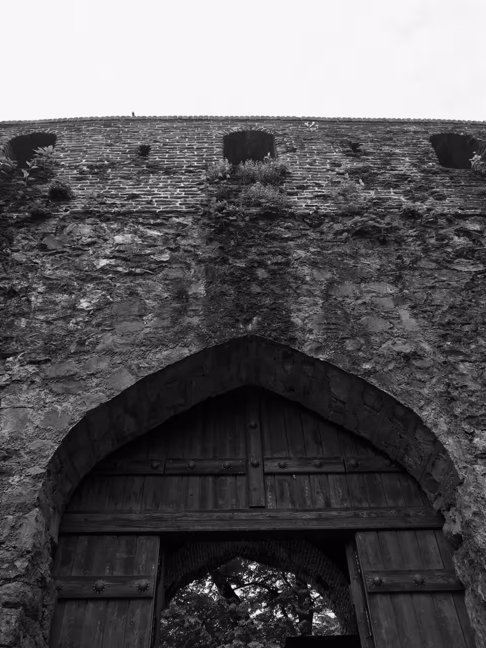 Wooden Gate