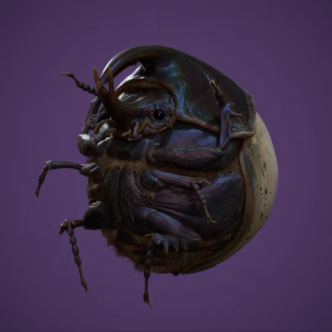 Pearlescent beetle