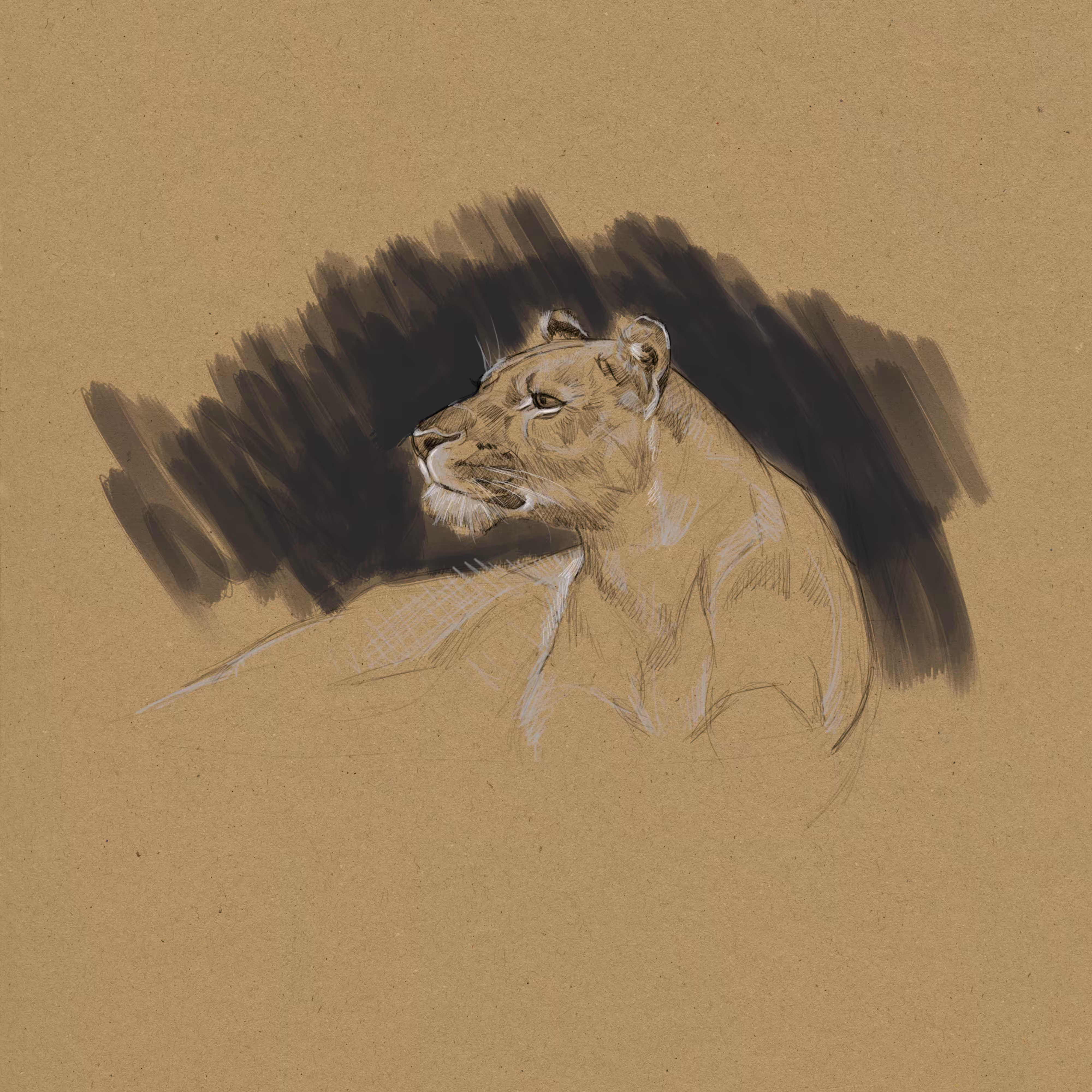 Sketch #19