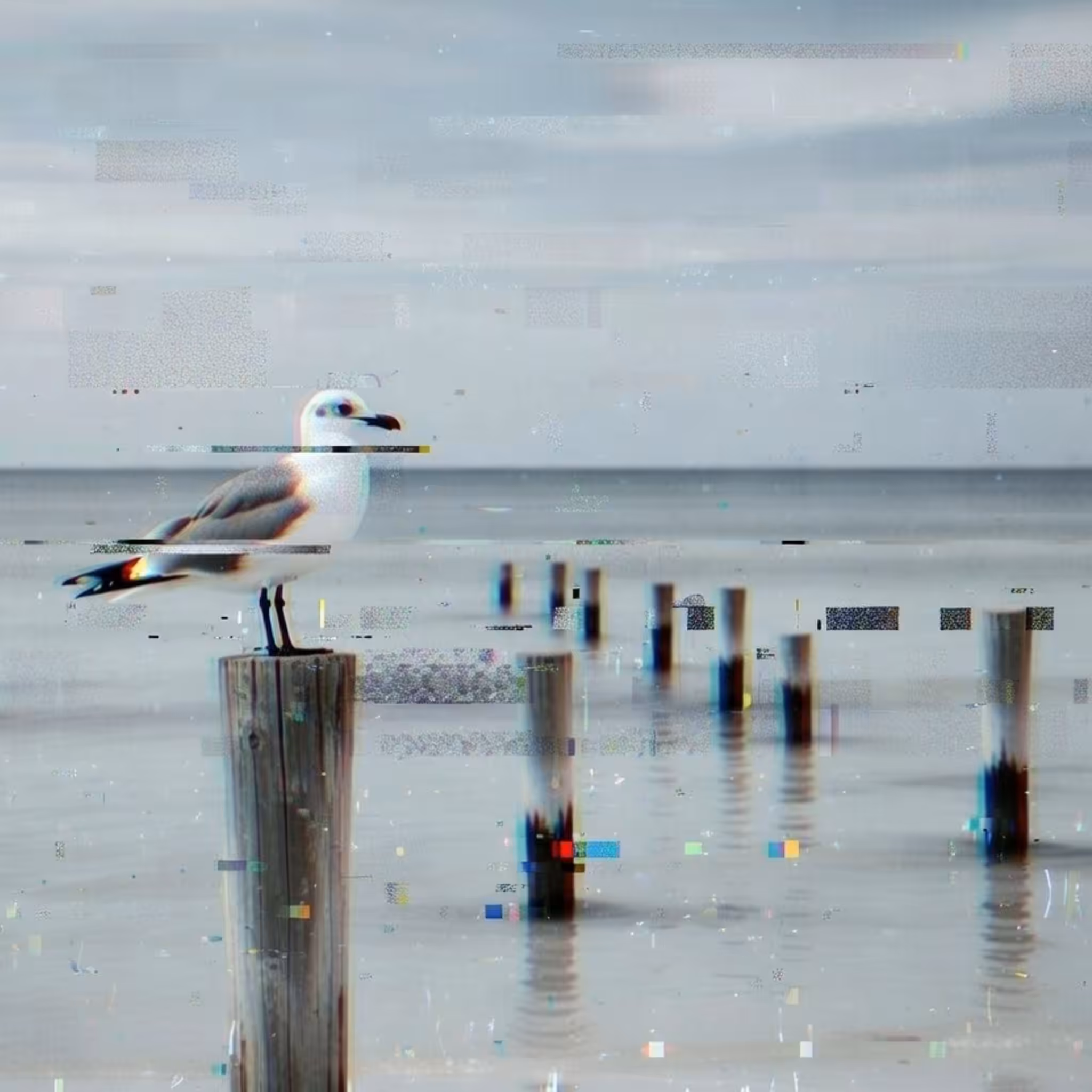 Bird.jpg (Corrupted)