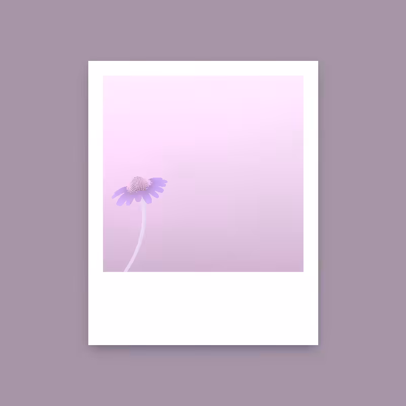 Ode to Summer #7