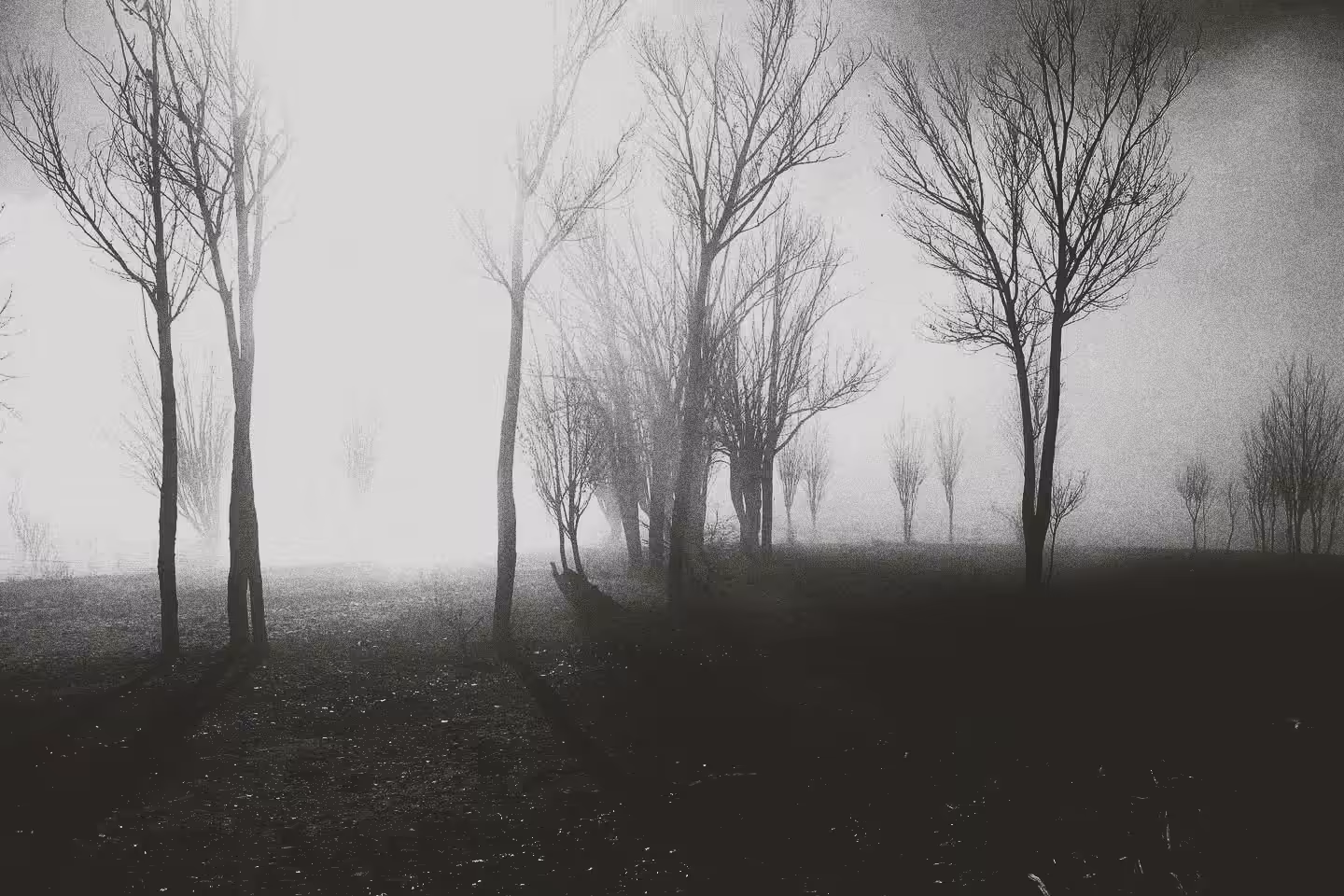 There is no place to hide