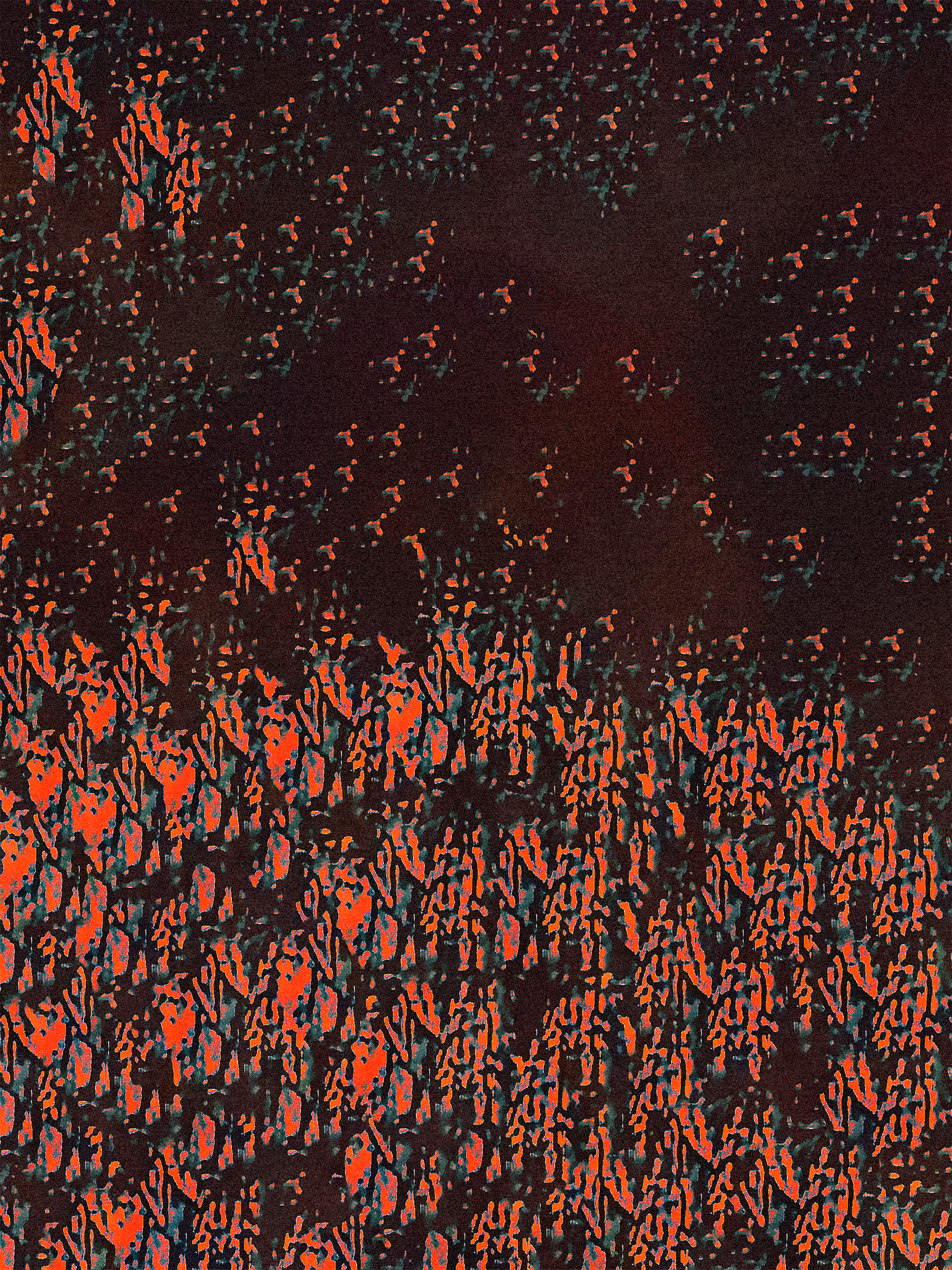 Wildflowers VIII