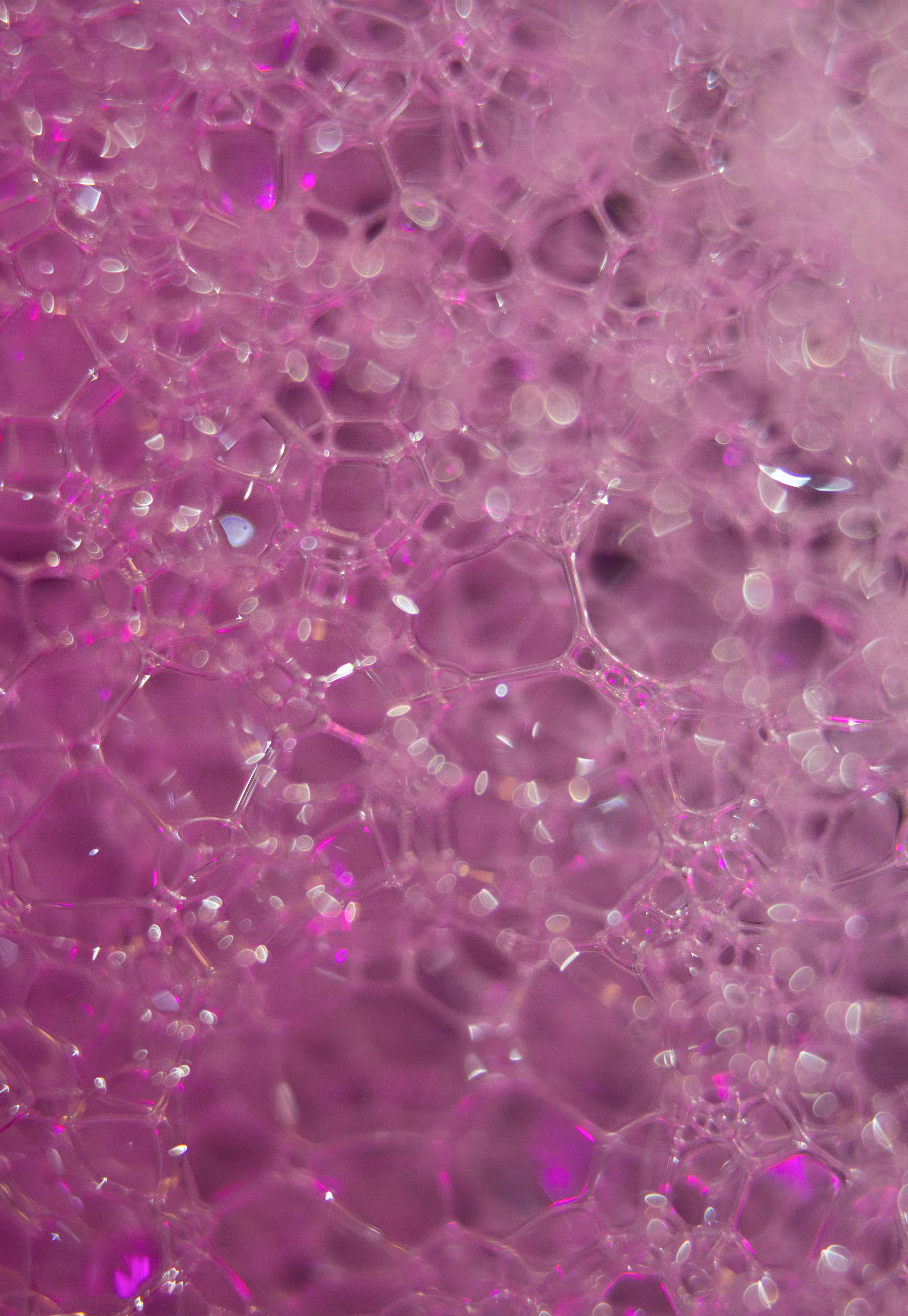Abstract World of Soap Bubbles: #5 Bubbles