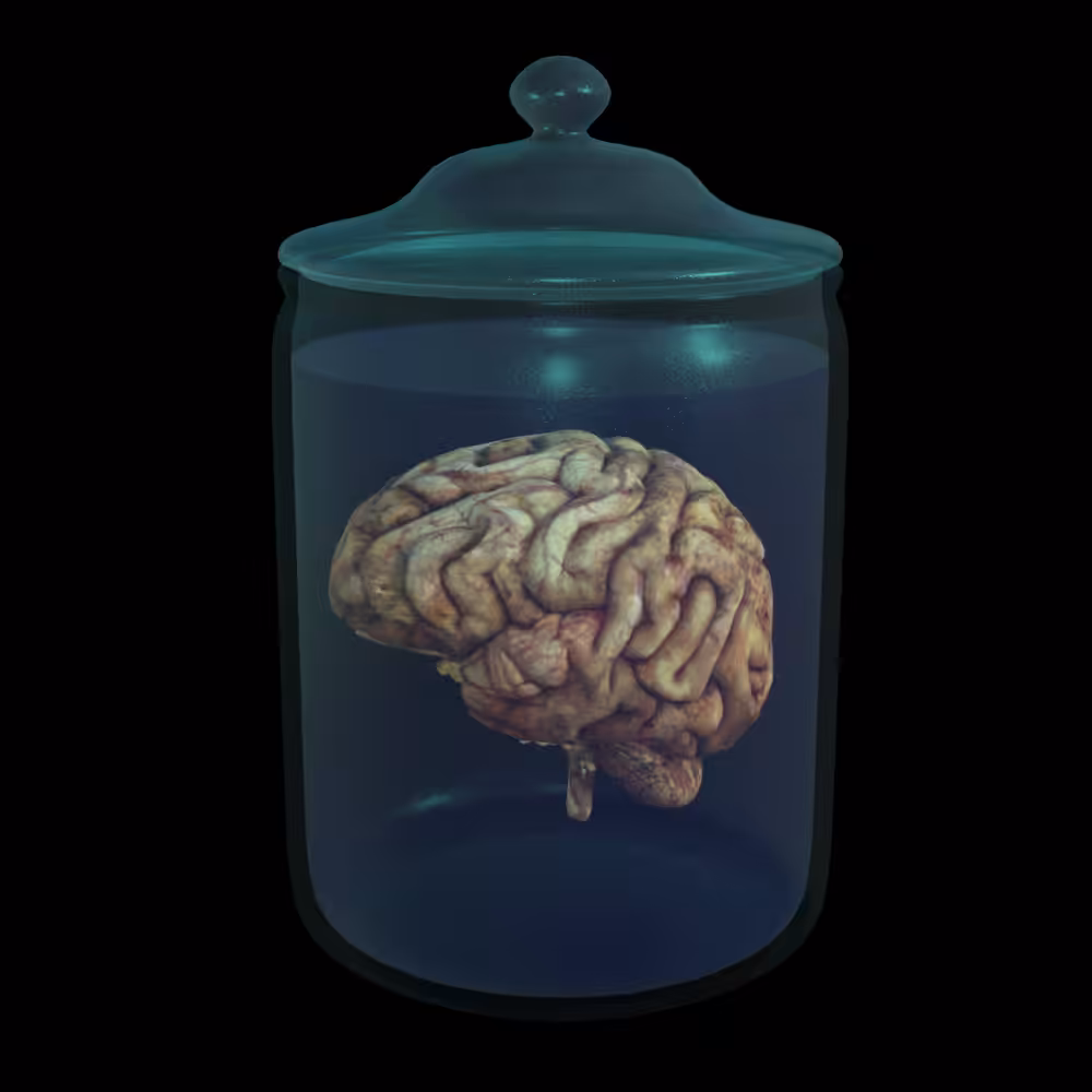Brain In Jar