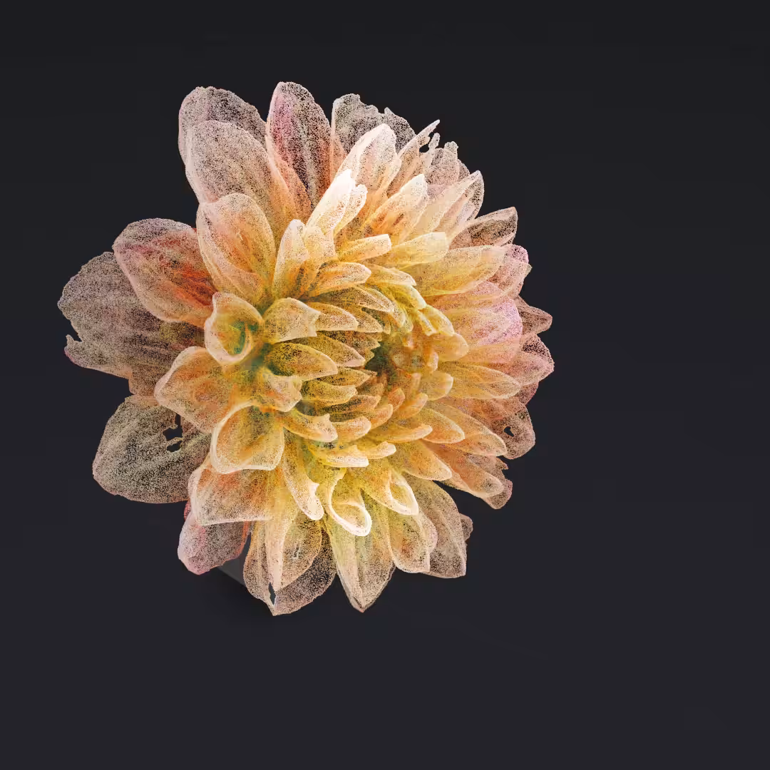 Just a flower VII