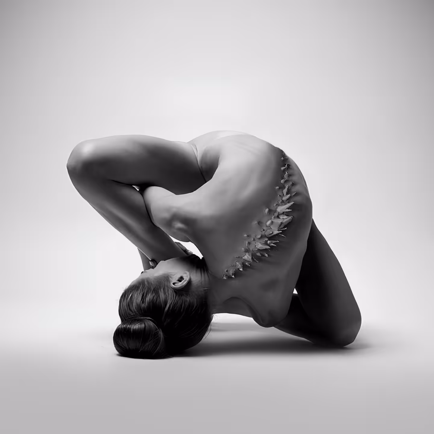 Metamorphosis of the Spine