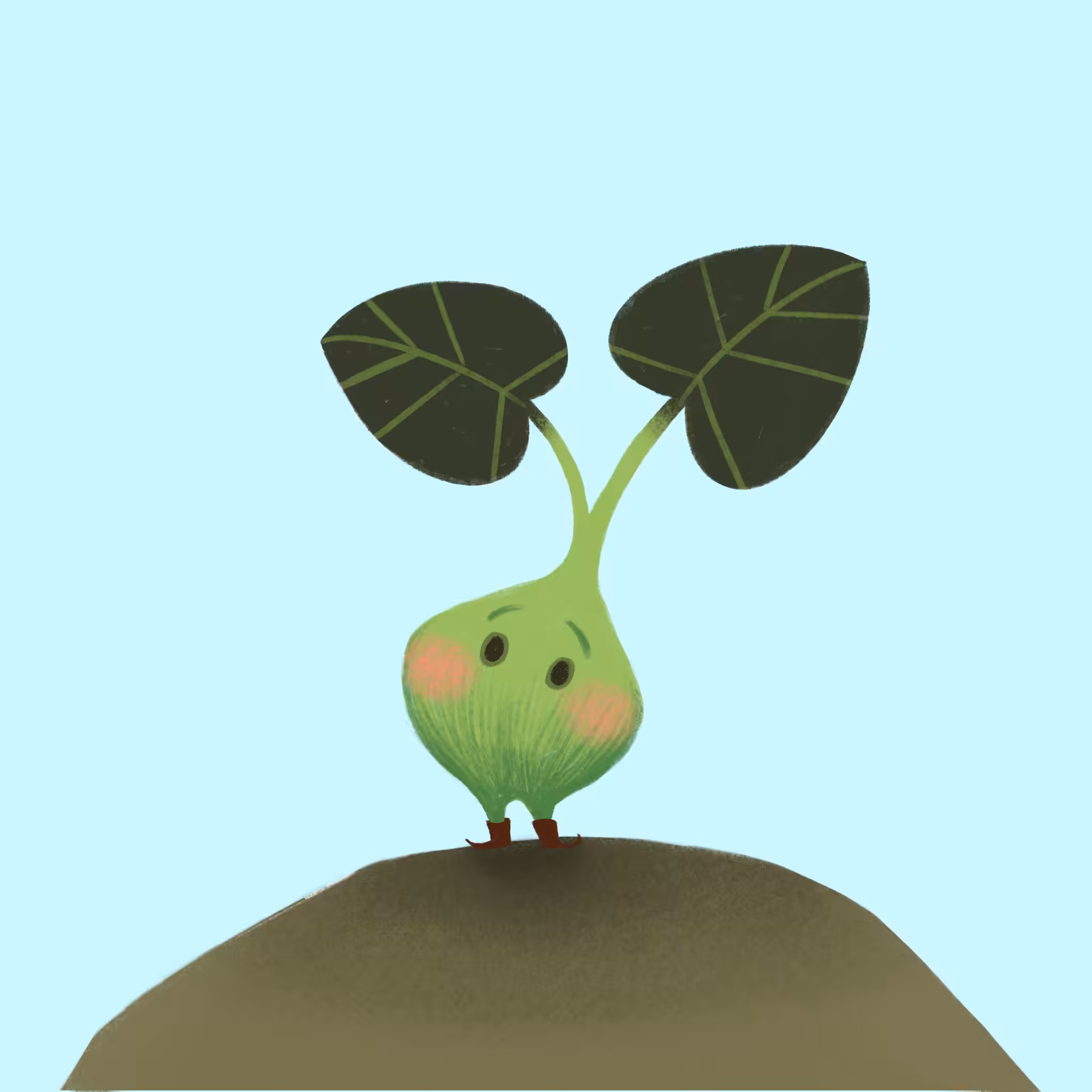 Cute seedling 8