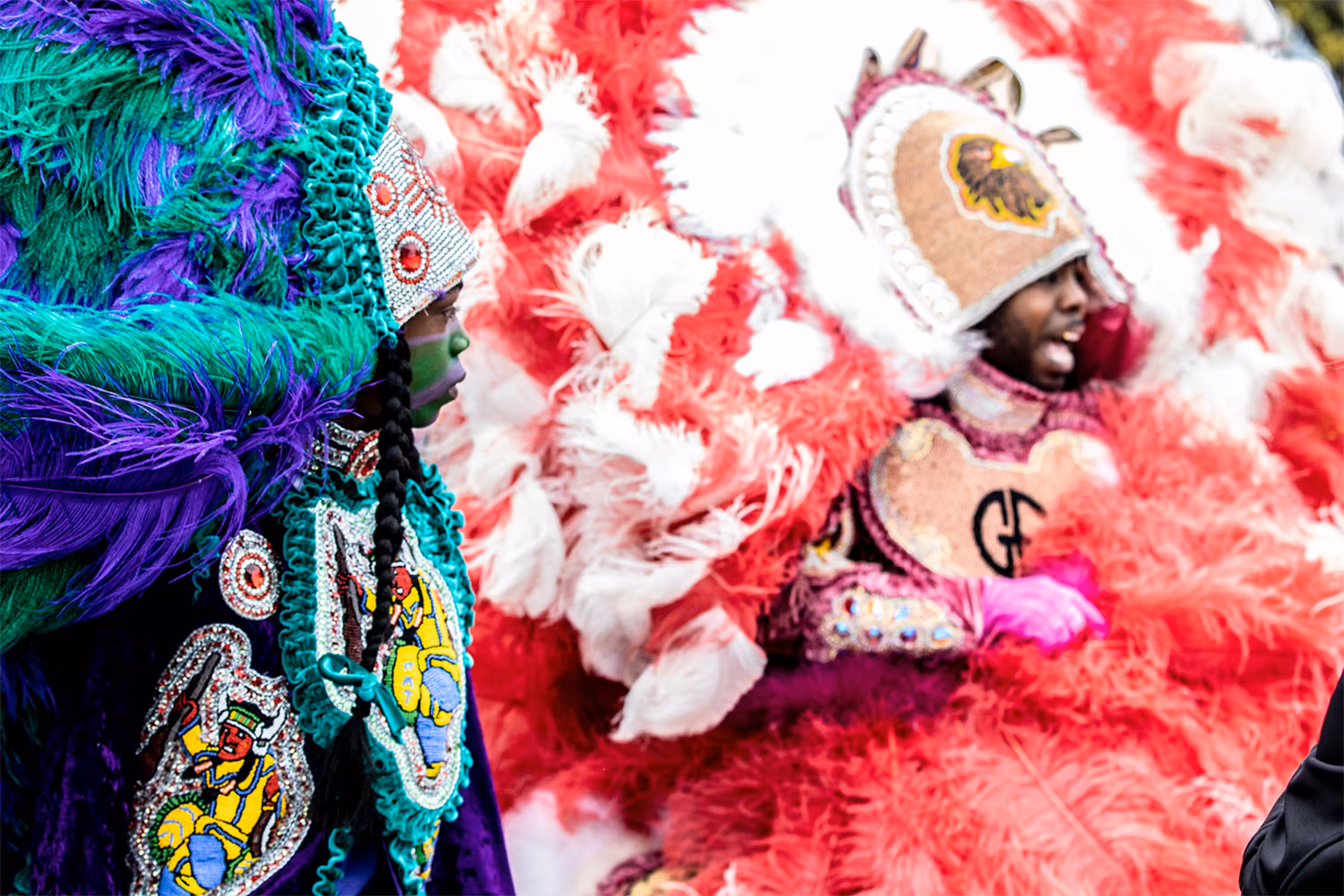 My Culture Collection #003