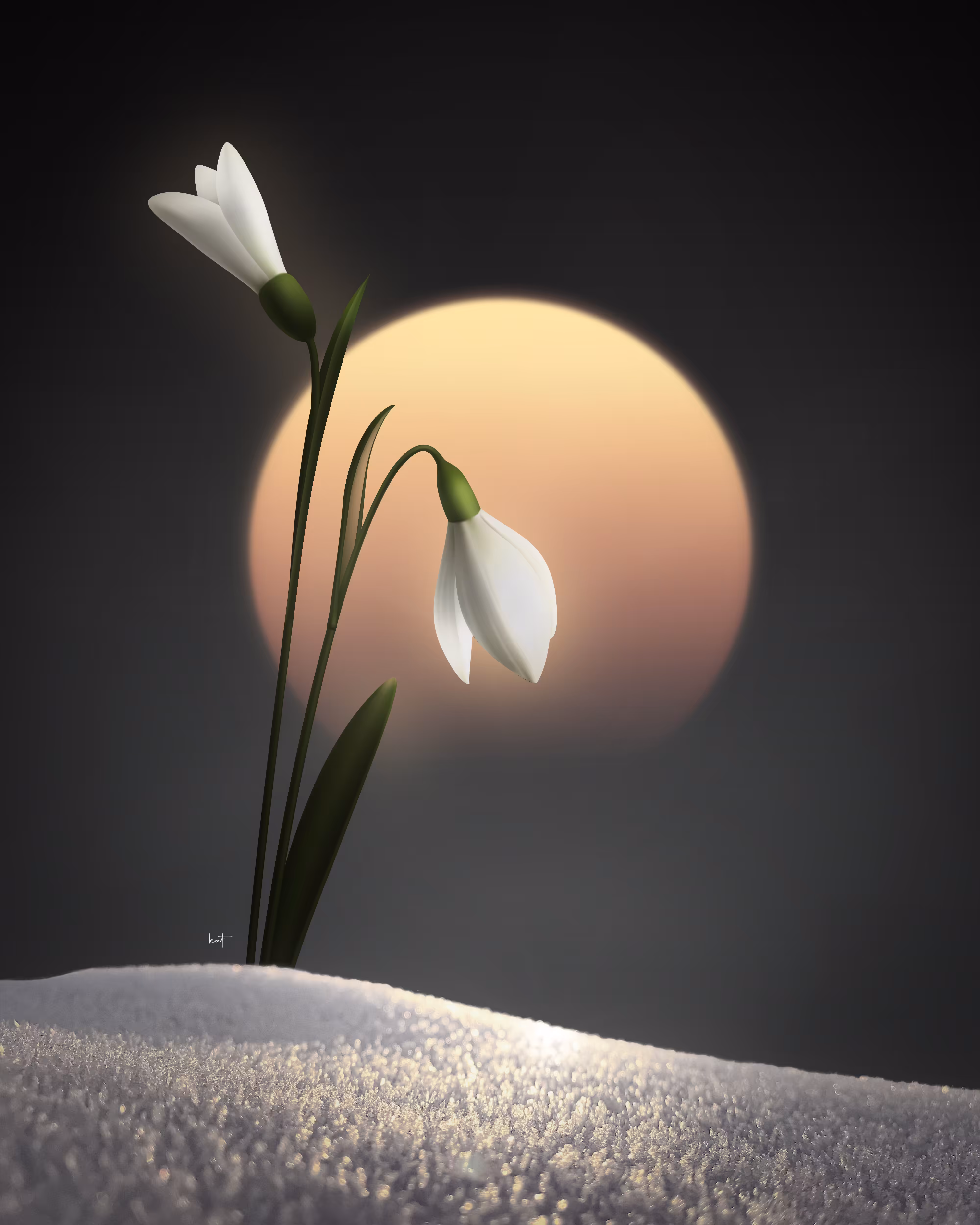 MIDWINTER DREAMS: SPRING GREETINGS