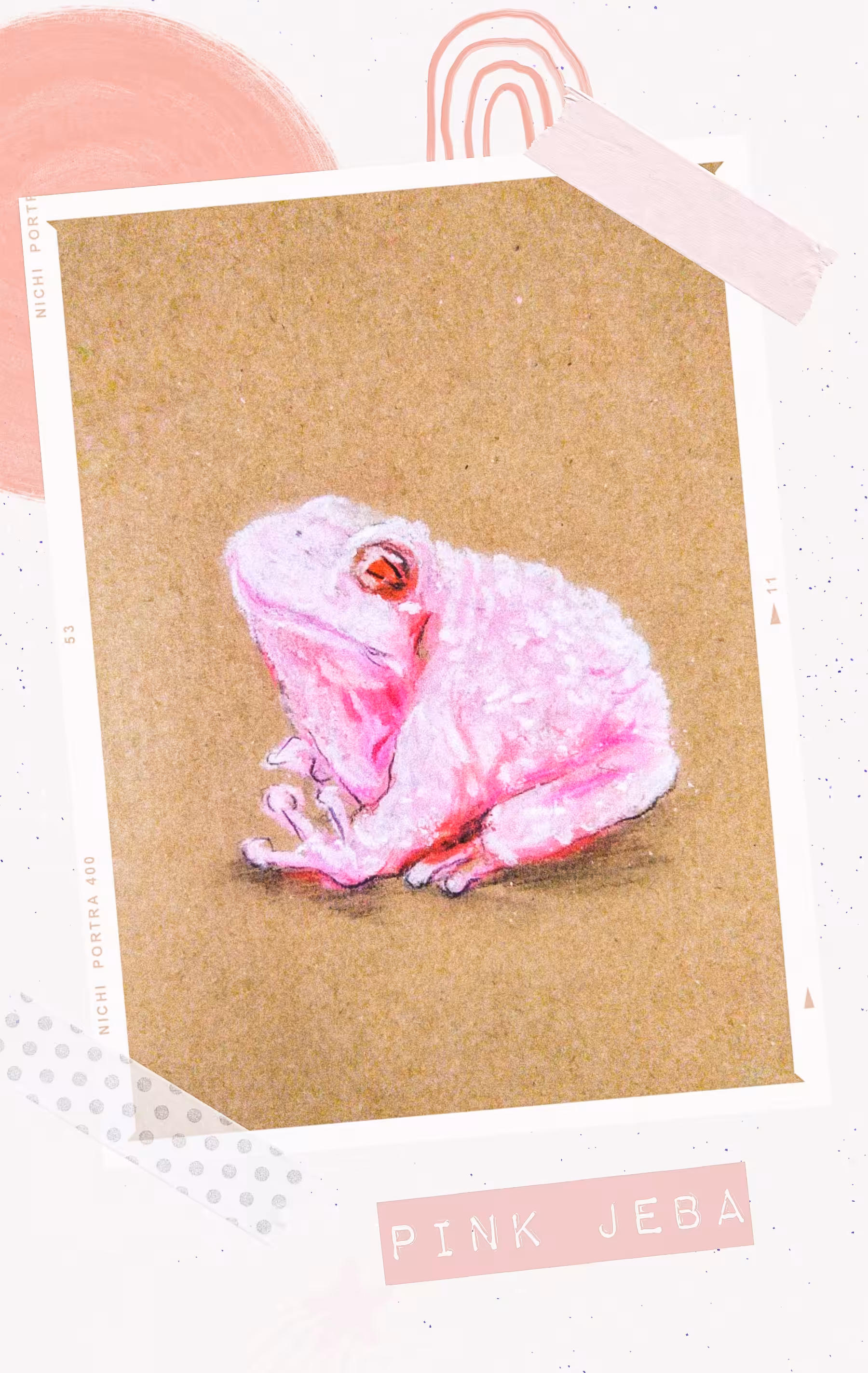 Pink frog