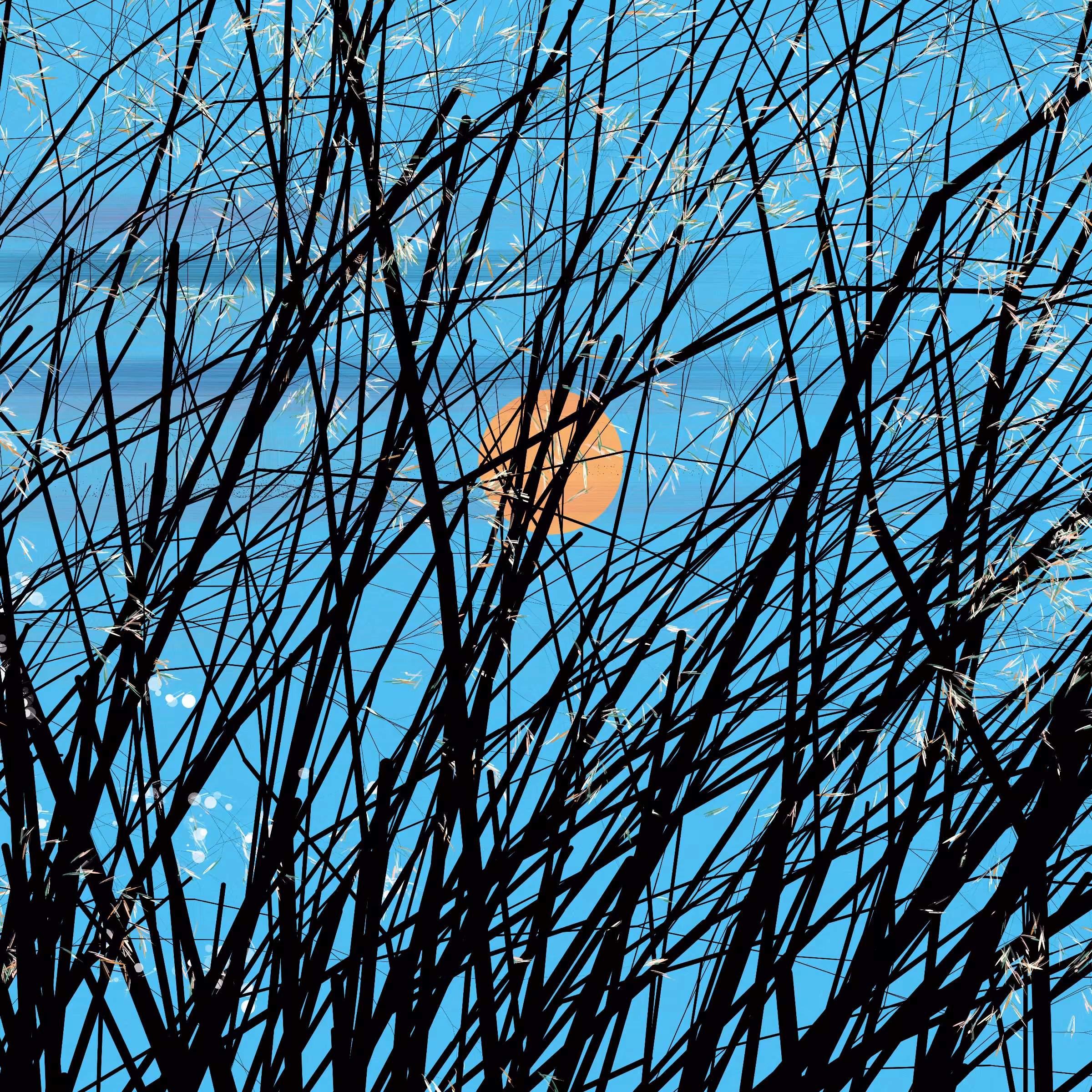 conversation with the wind #405