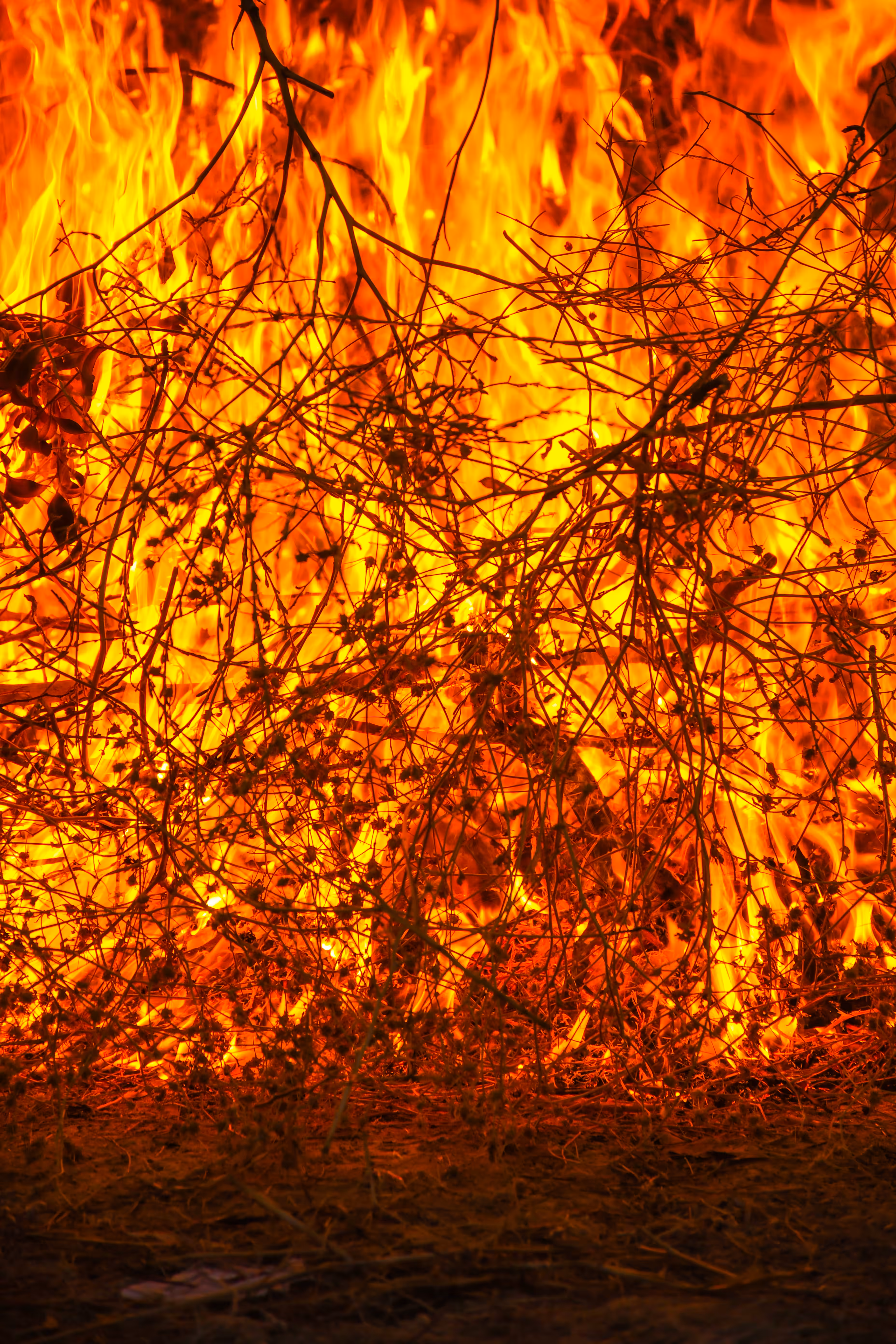 Burn it all