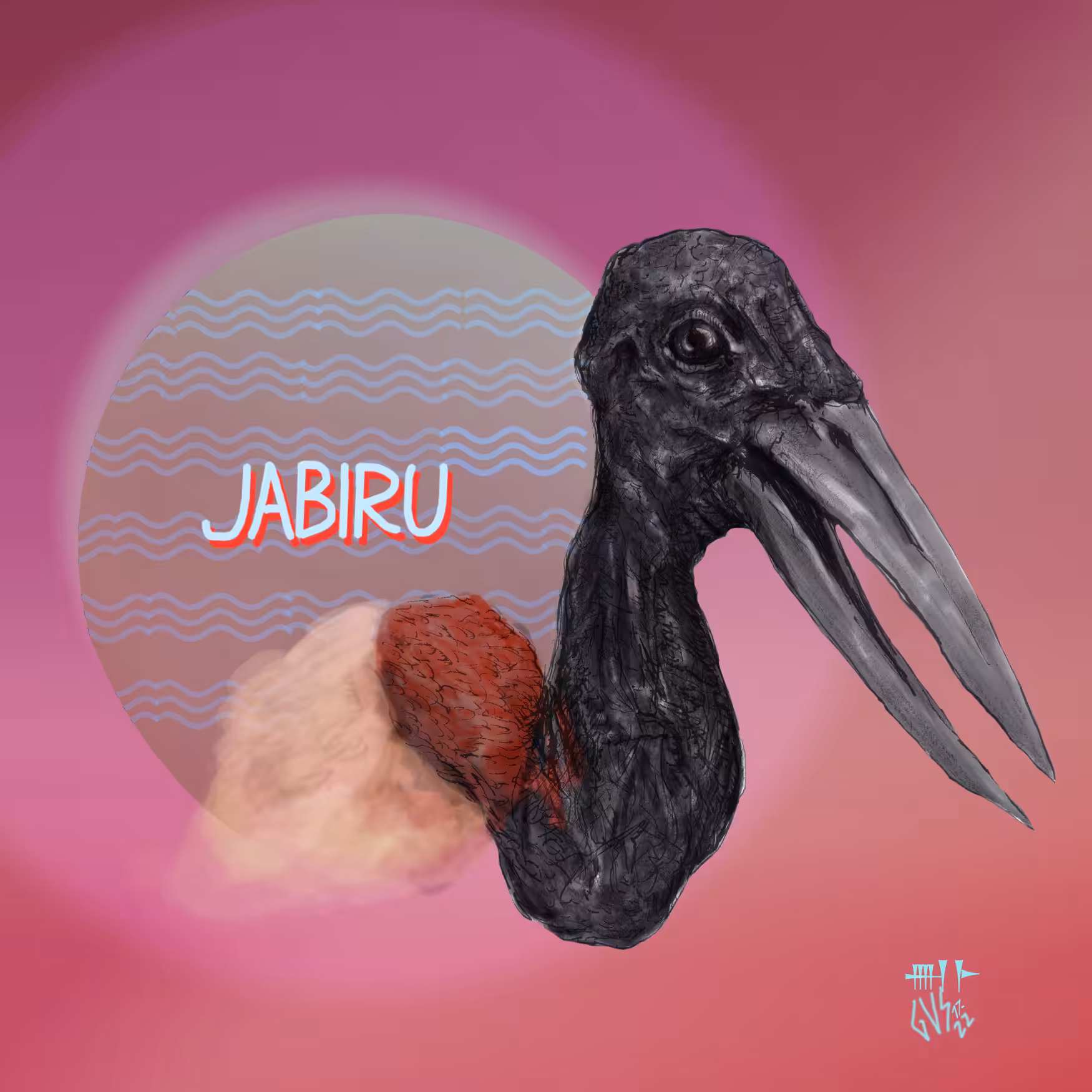 Jabiru — Tuiuiú