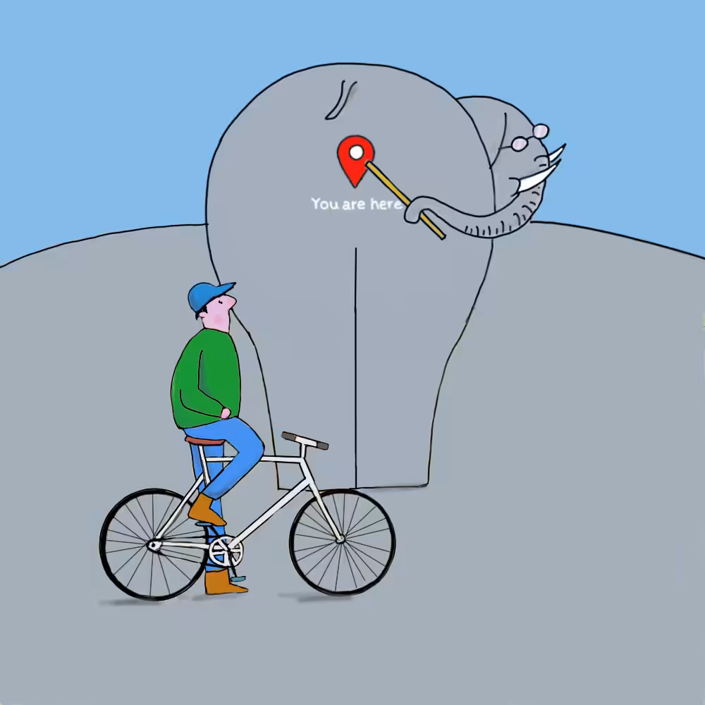 Elephant school #43