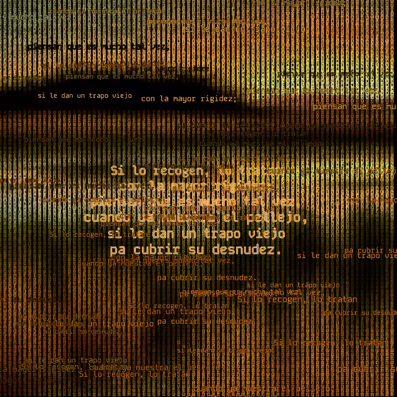 A hacker in the Pampas #48