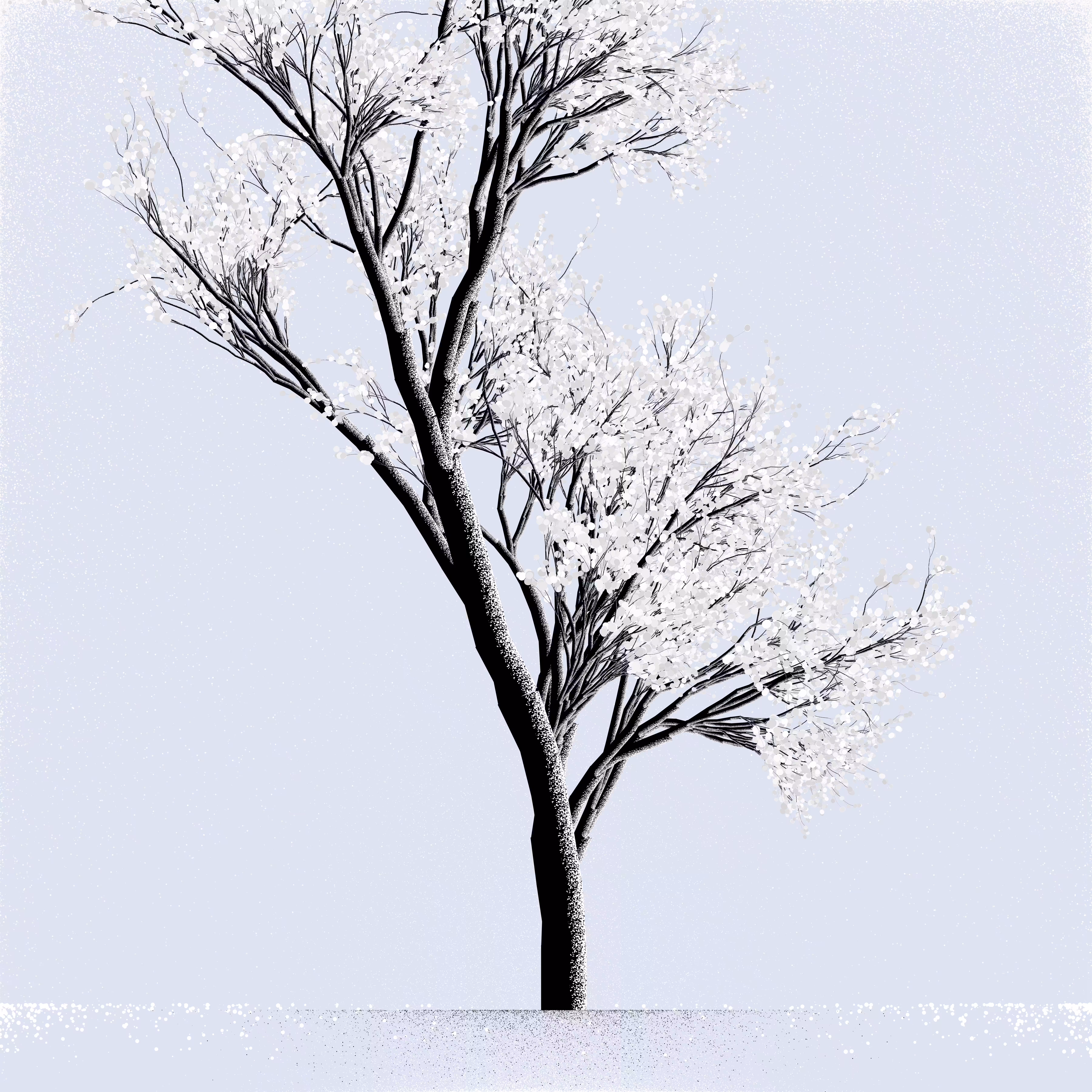 Snow Tree #50
