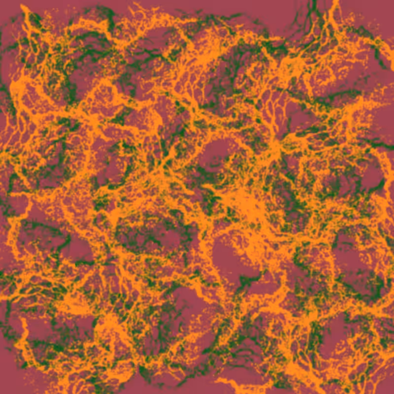 Magma #5