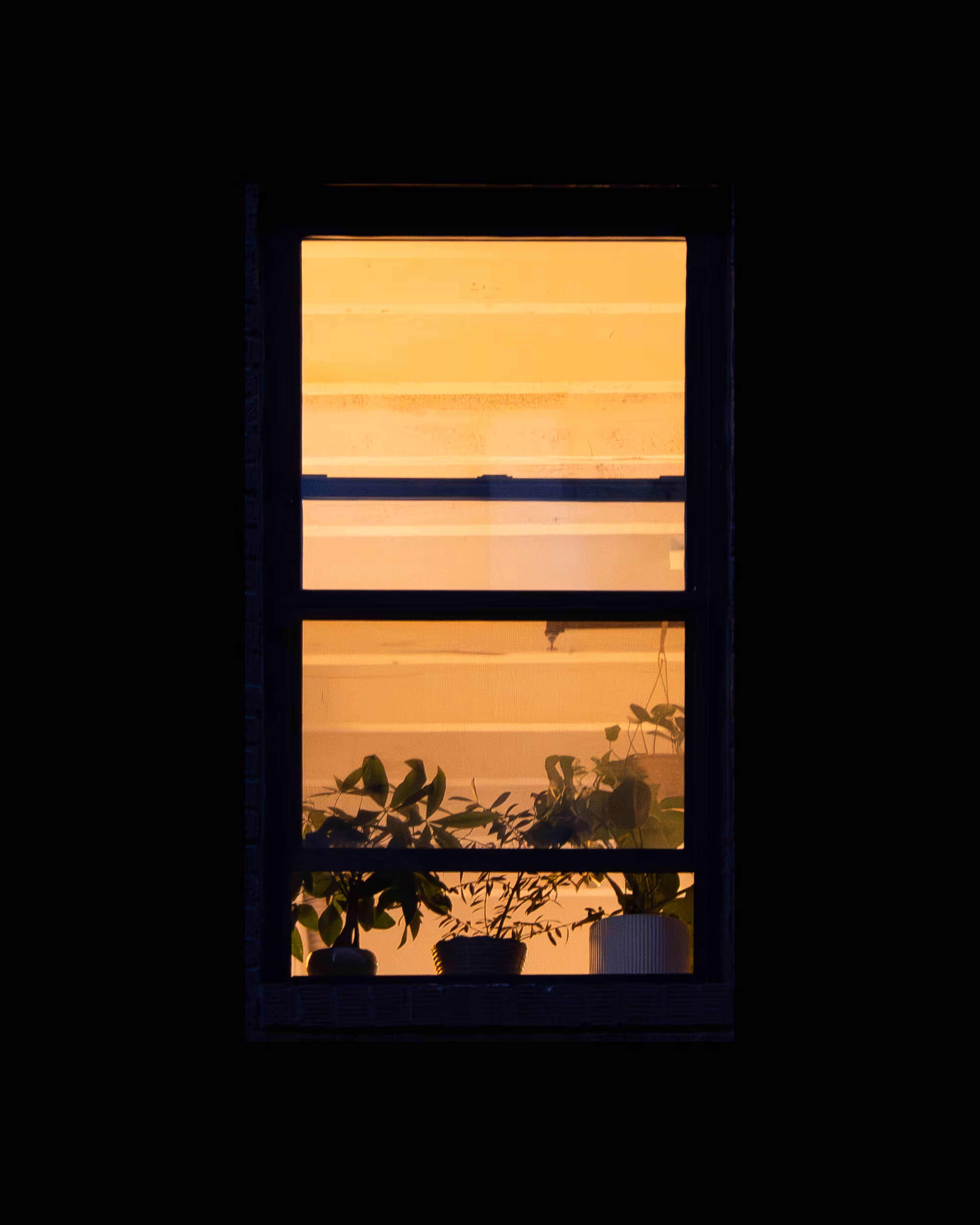 WINDOW 59
