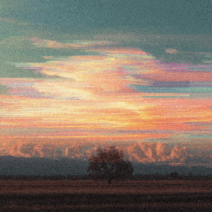 The Flo: Finding Light