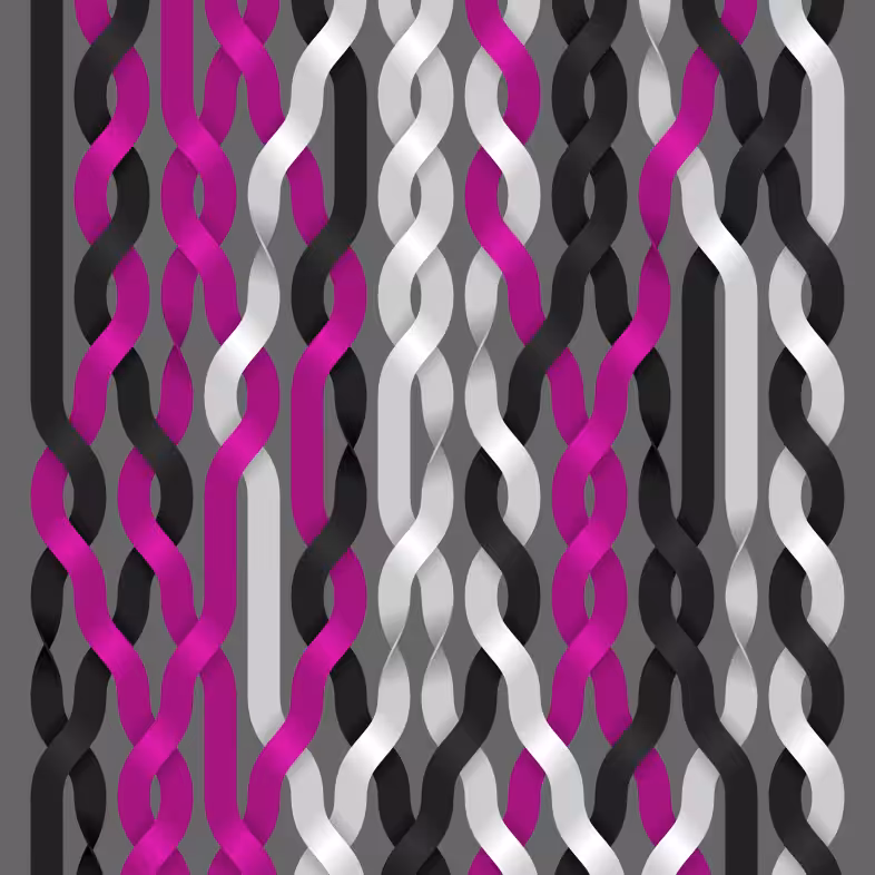 Endless Braids #31