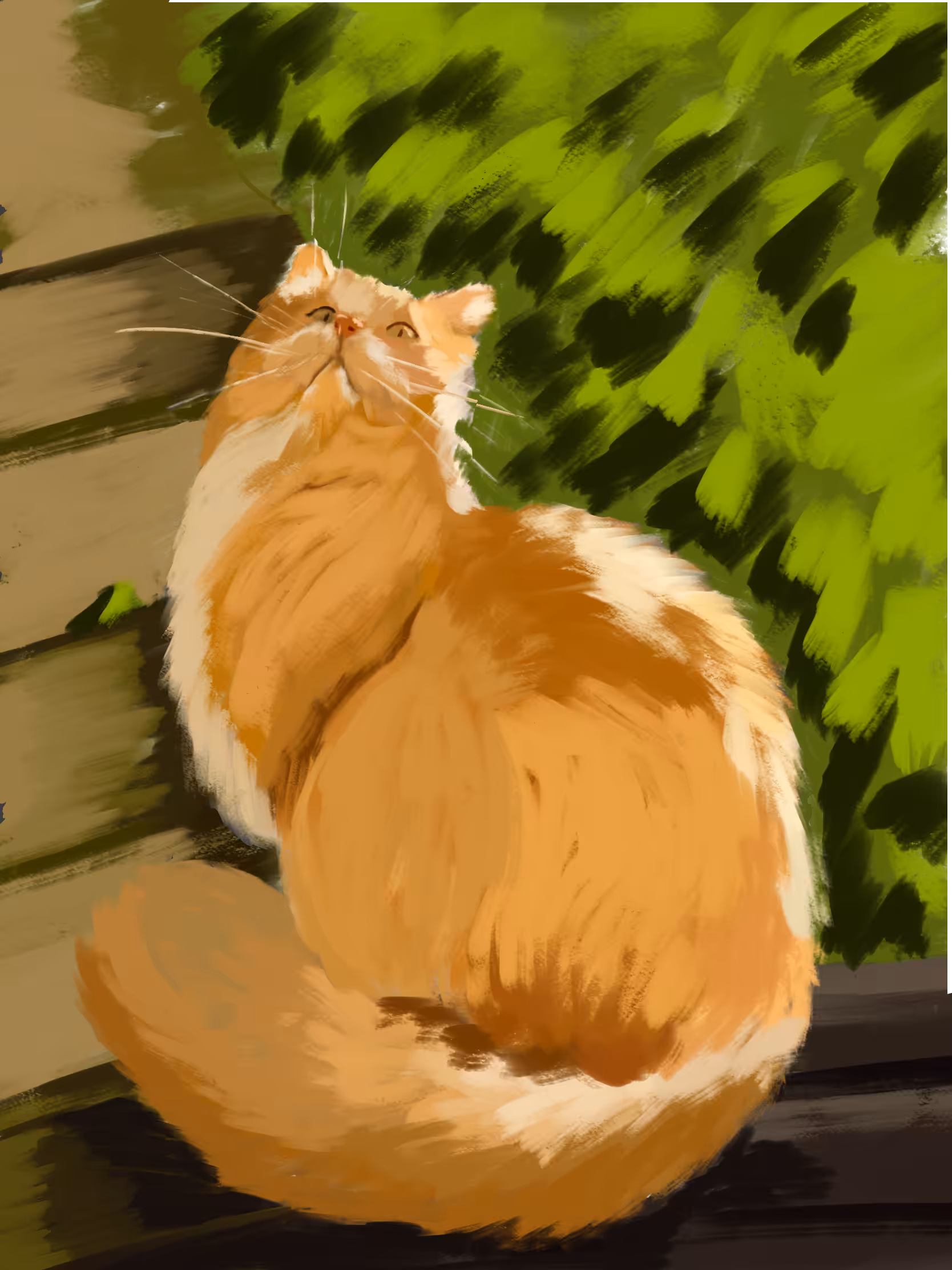 Cat sunbathing