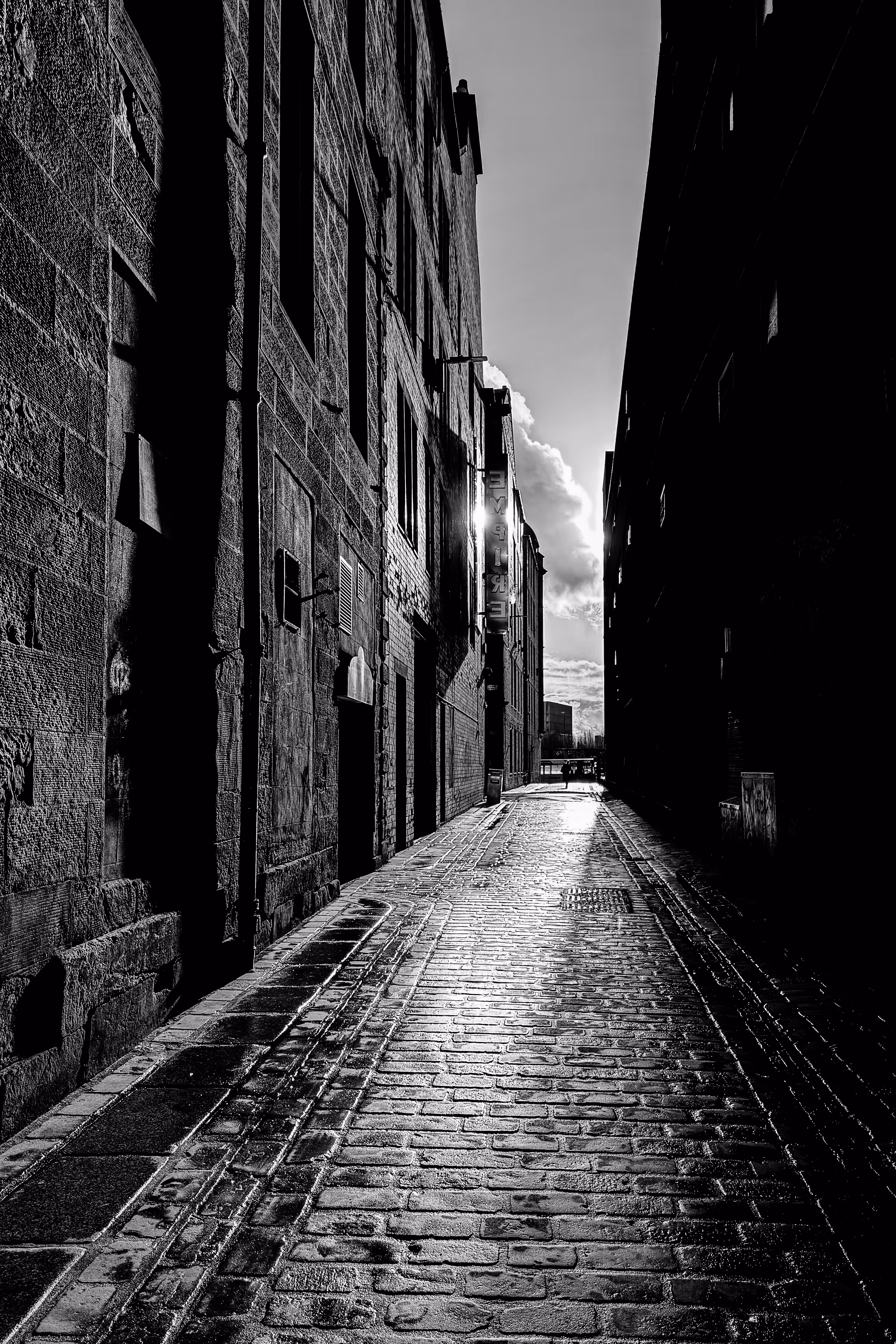 Follow the Light 