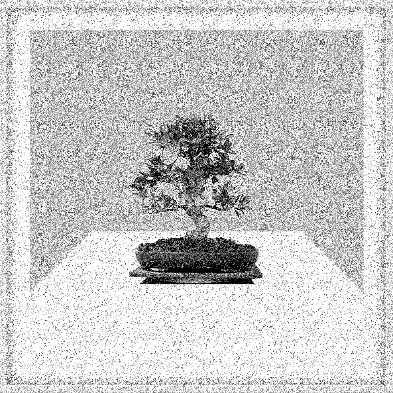 Bonsai Bonanza #104