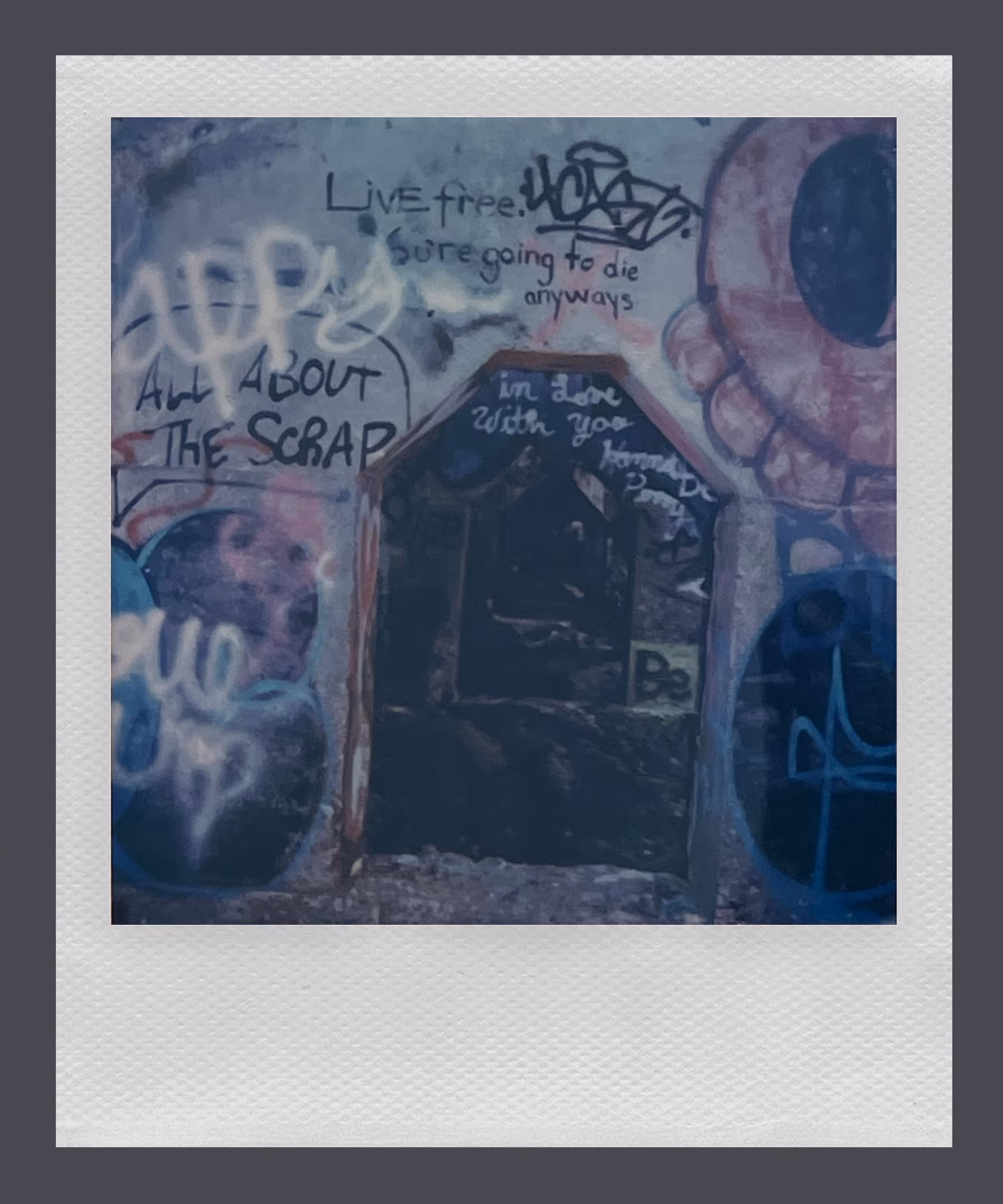 Polaroid 1/8
