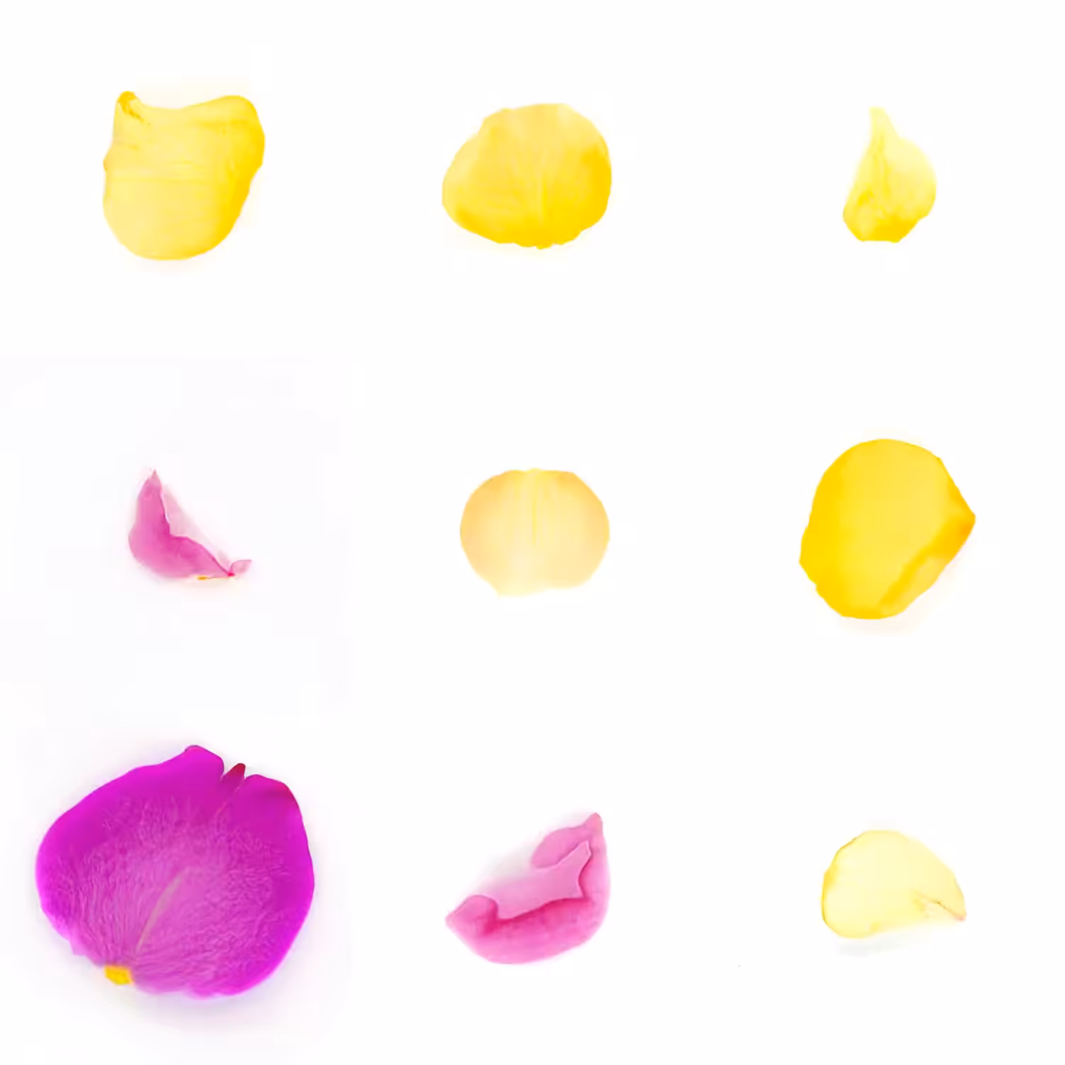 Infinite Petals 3x3#2431